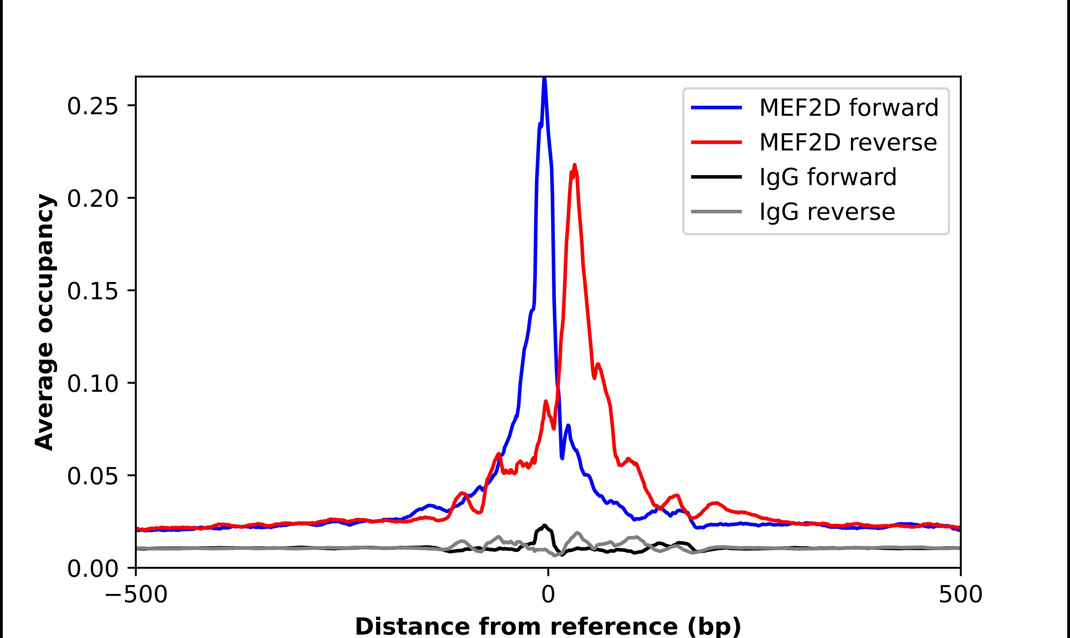 MEF2D Antibody - BSA Free Chromatin Immunoprecipitation-exo-Seq: MEF2D Antibody - BSA Free [NBP1-85788]