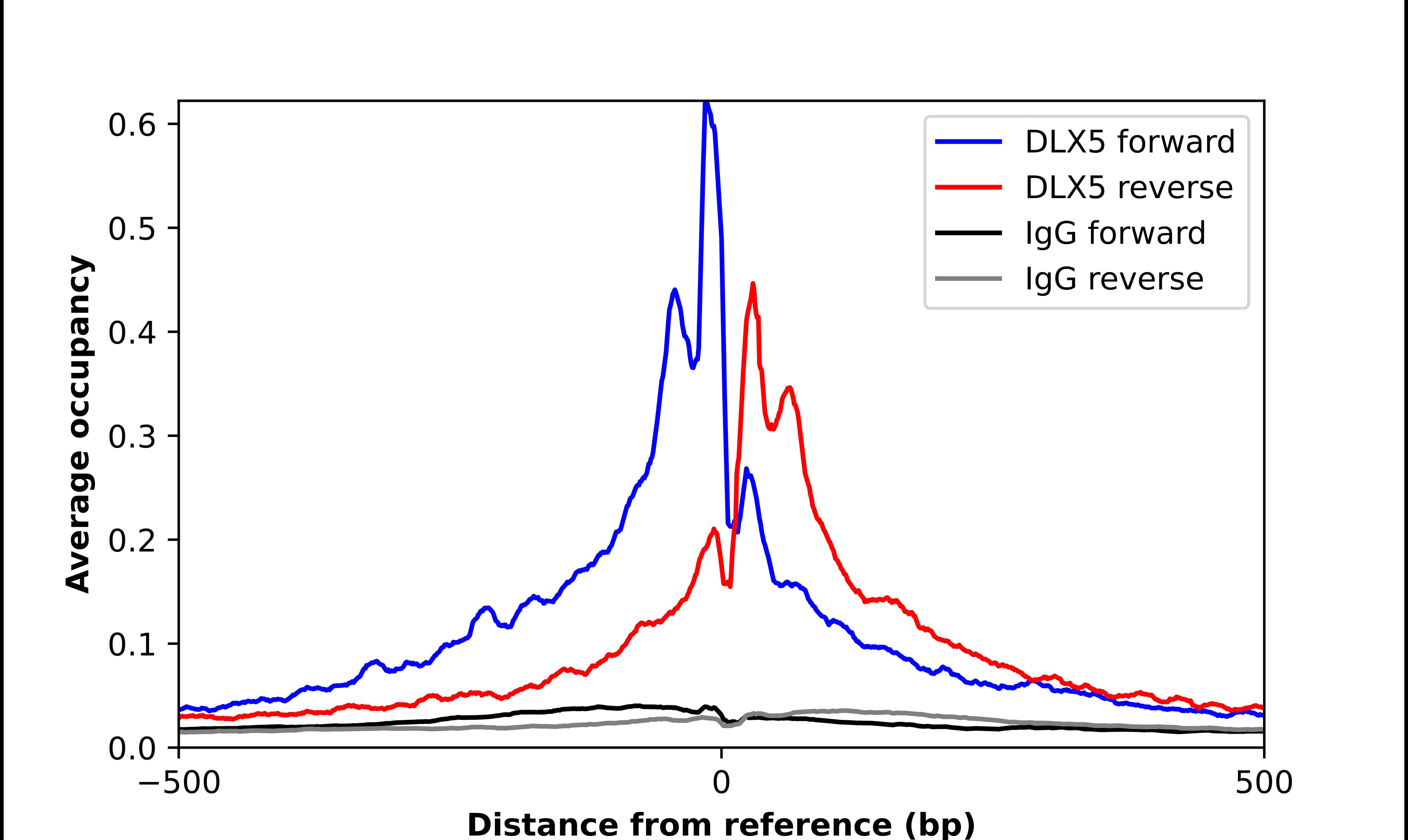 DLX5 Antibody - BSA Free Chromatin Immunoprecipitation ChIP: DLX5 Antibody - BSA Free