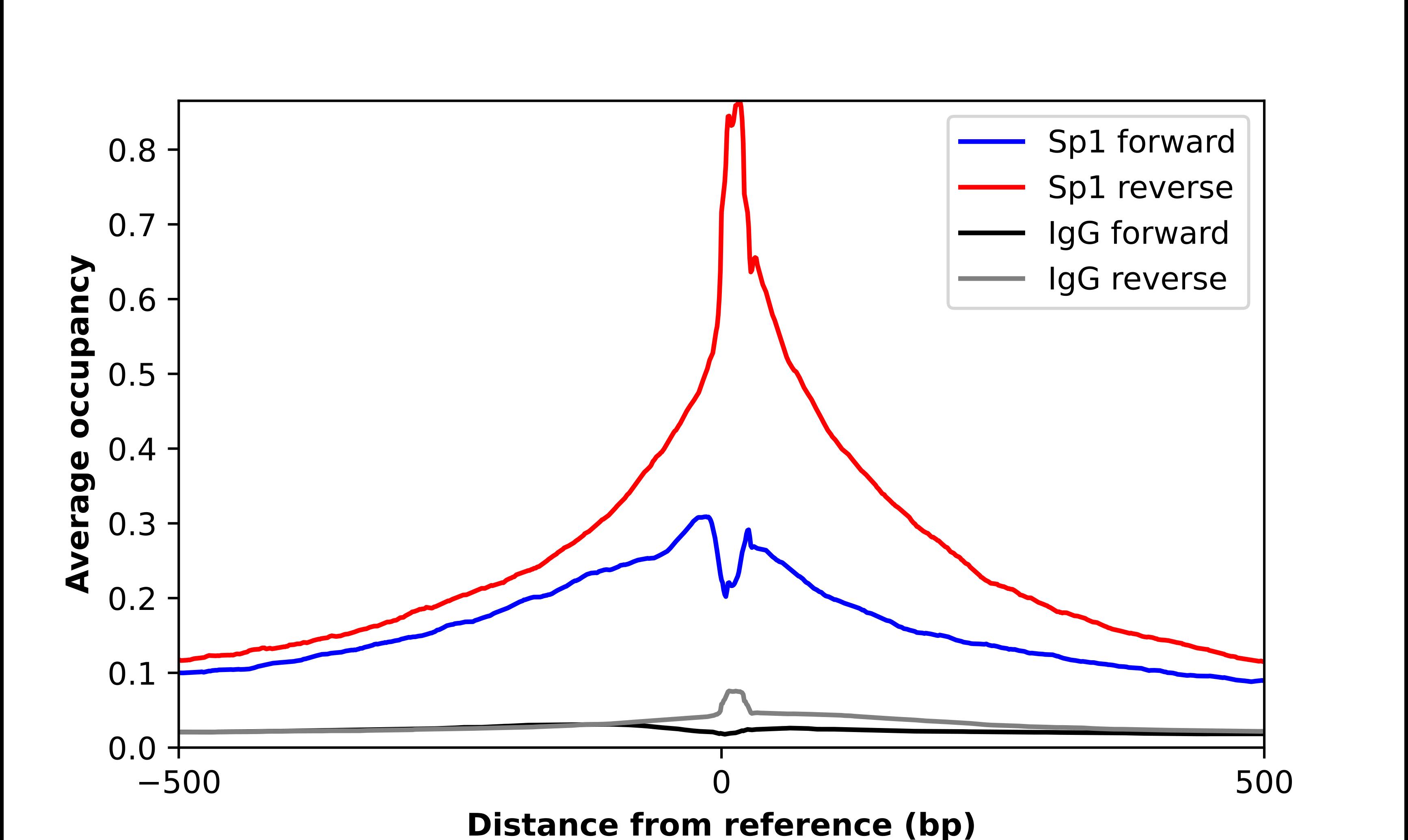 SP1 Antibody - BSA Free Chromatin Immunoprecipitation-exo-Seq: SP1 Antibody - BSA Free [NBP1-85812]