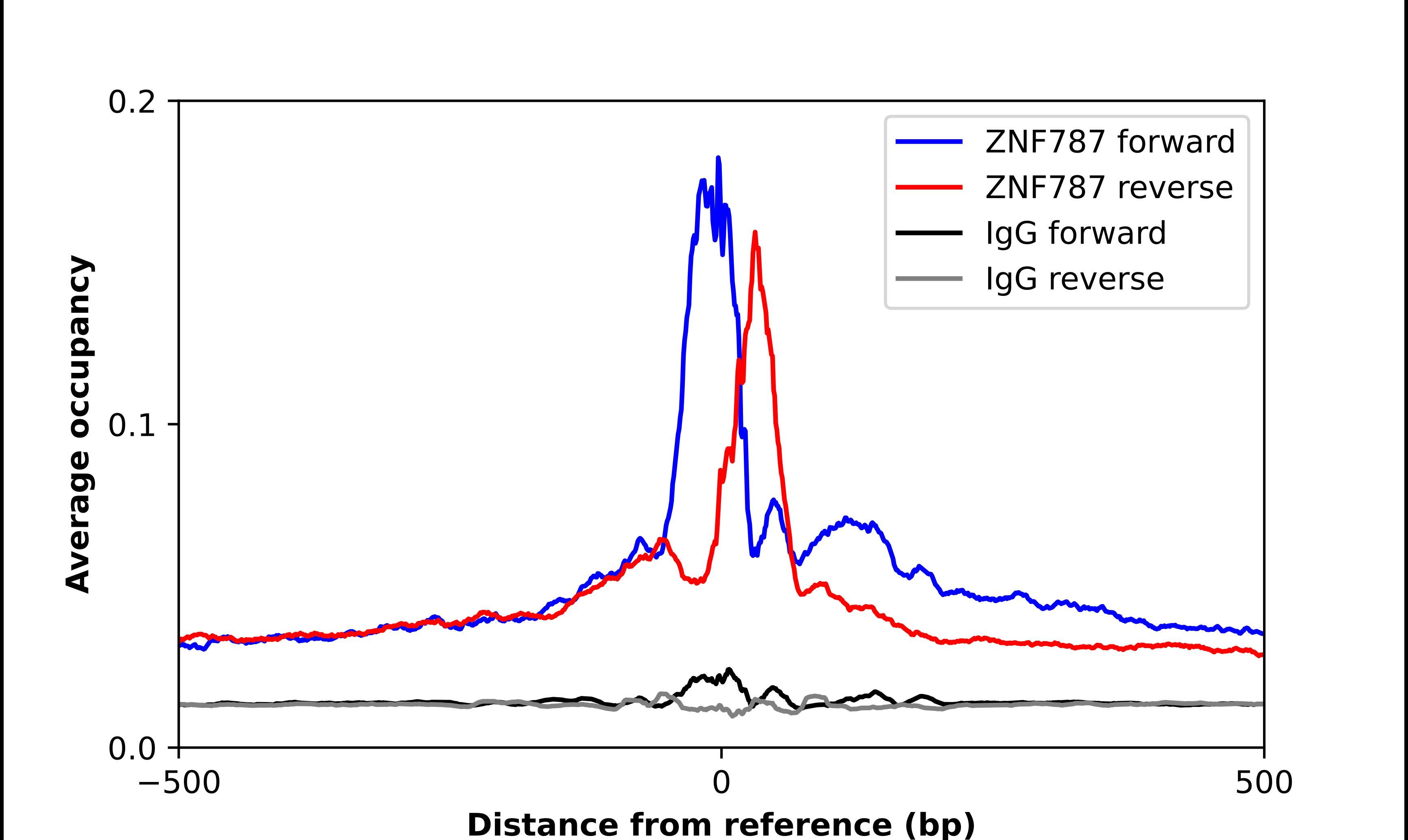 ZNF787 Antibody - BSA Free Chromatin Immunoprecipitation-exo-Seq: ZNF787 Antibody - BSA Free [NBP1-85911]