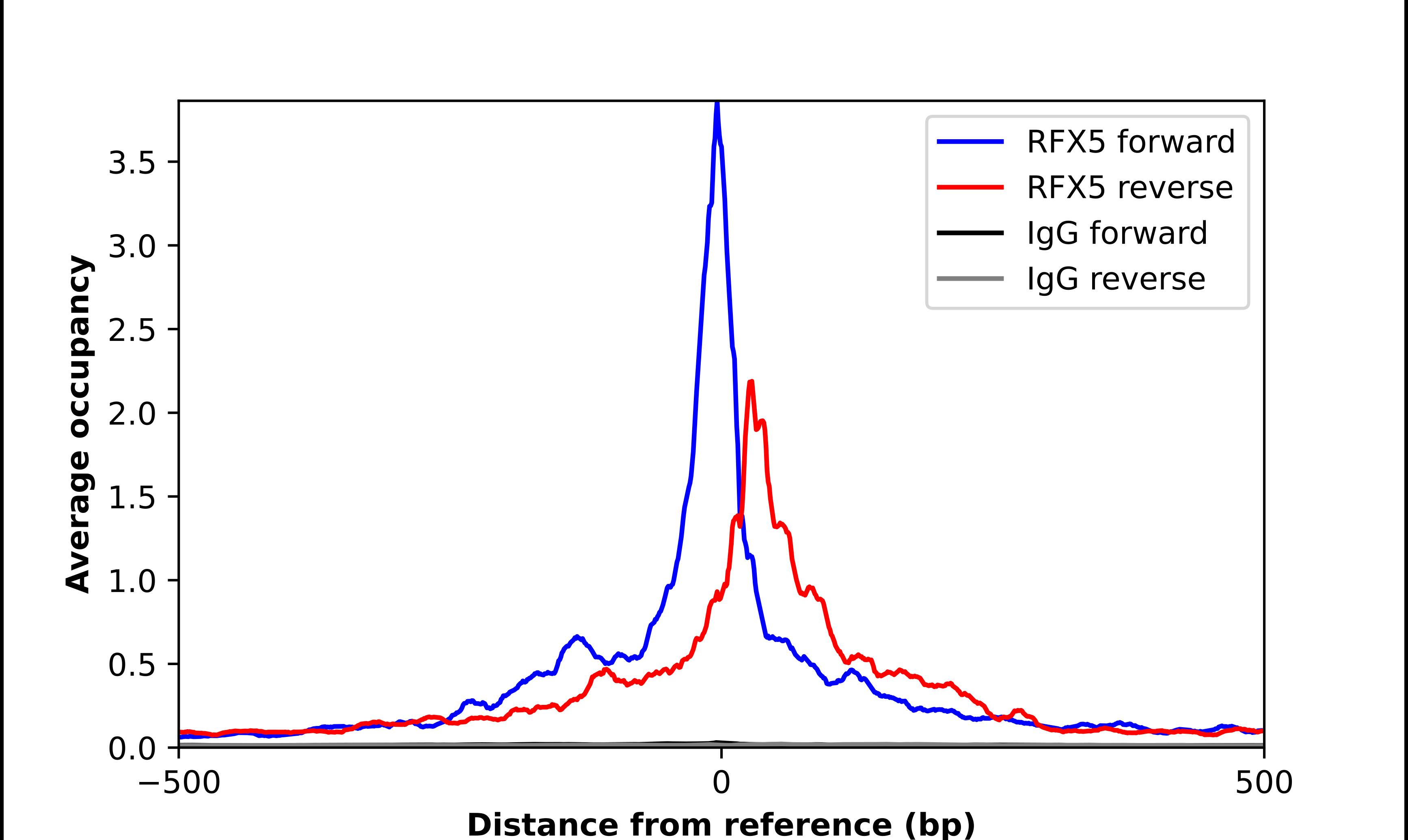 RFX5 Antibody - BSA Free Chromatin Immunoprecipitation ChIP: RFX5 Antibody - BSA Free