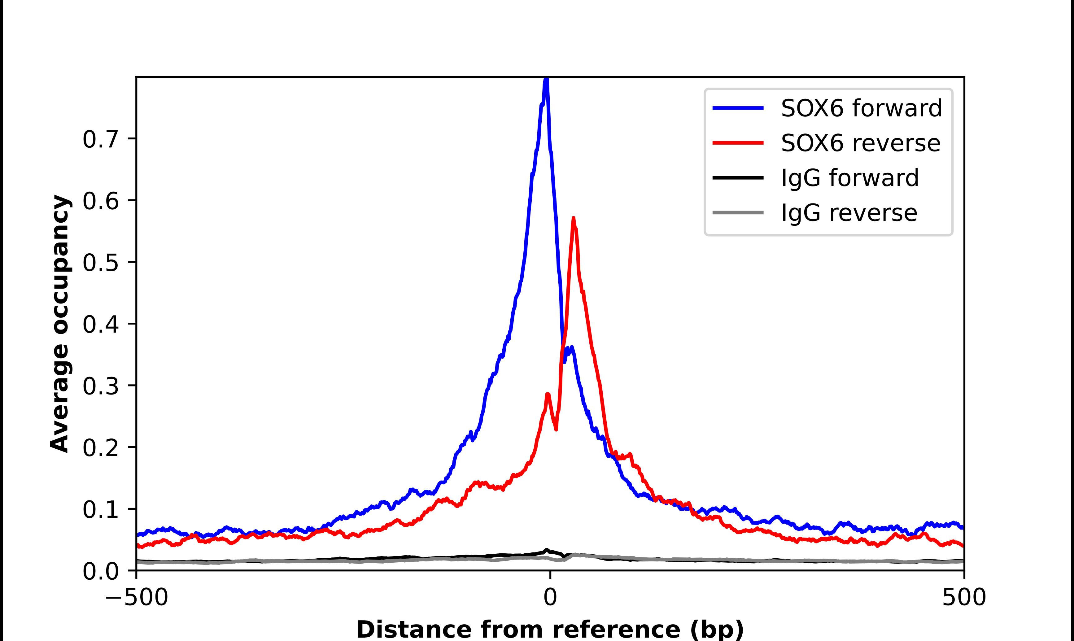 SOX6 Antibody - BSA Free Chromatin Immunoprecipitation-exo-Seq: SOX6 Antibody - BSA Free [NBP1-86149]