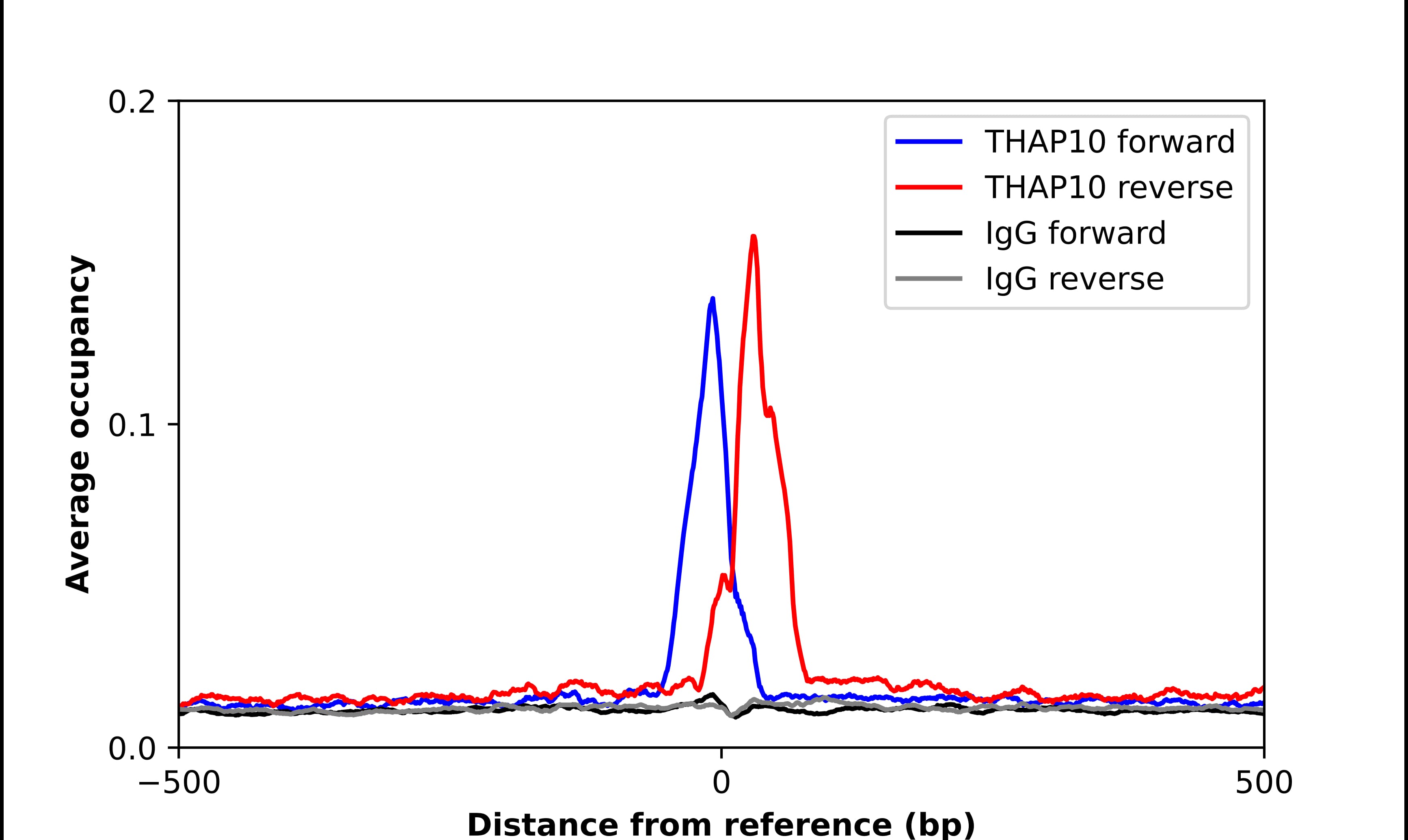 THAP10 Antibody - BSA Free Chromatin Immunoprecipitation-exo-Seq: THAP10 Antibody - BSA Free [NBP1-86226]