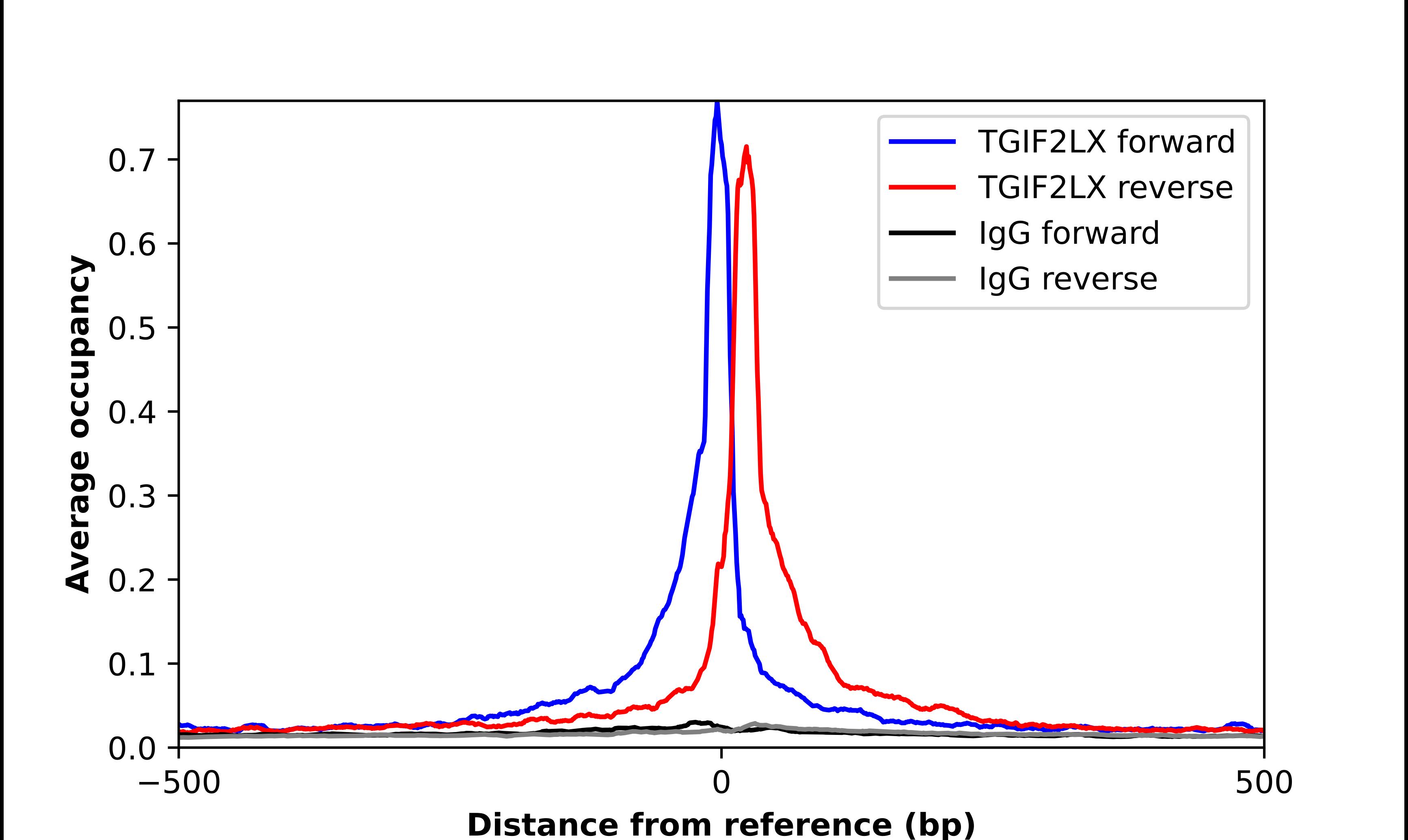 TGIF2LX Antibody - BSA Free Chromatin Immunoprecipitation-exo-Seq: TGIF2LX Antibody - BSA Free [NBP1-86320]