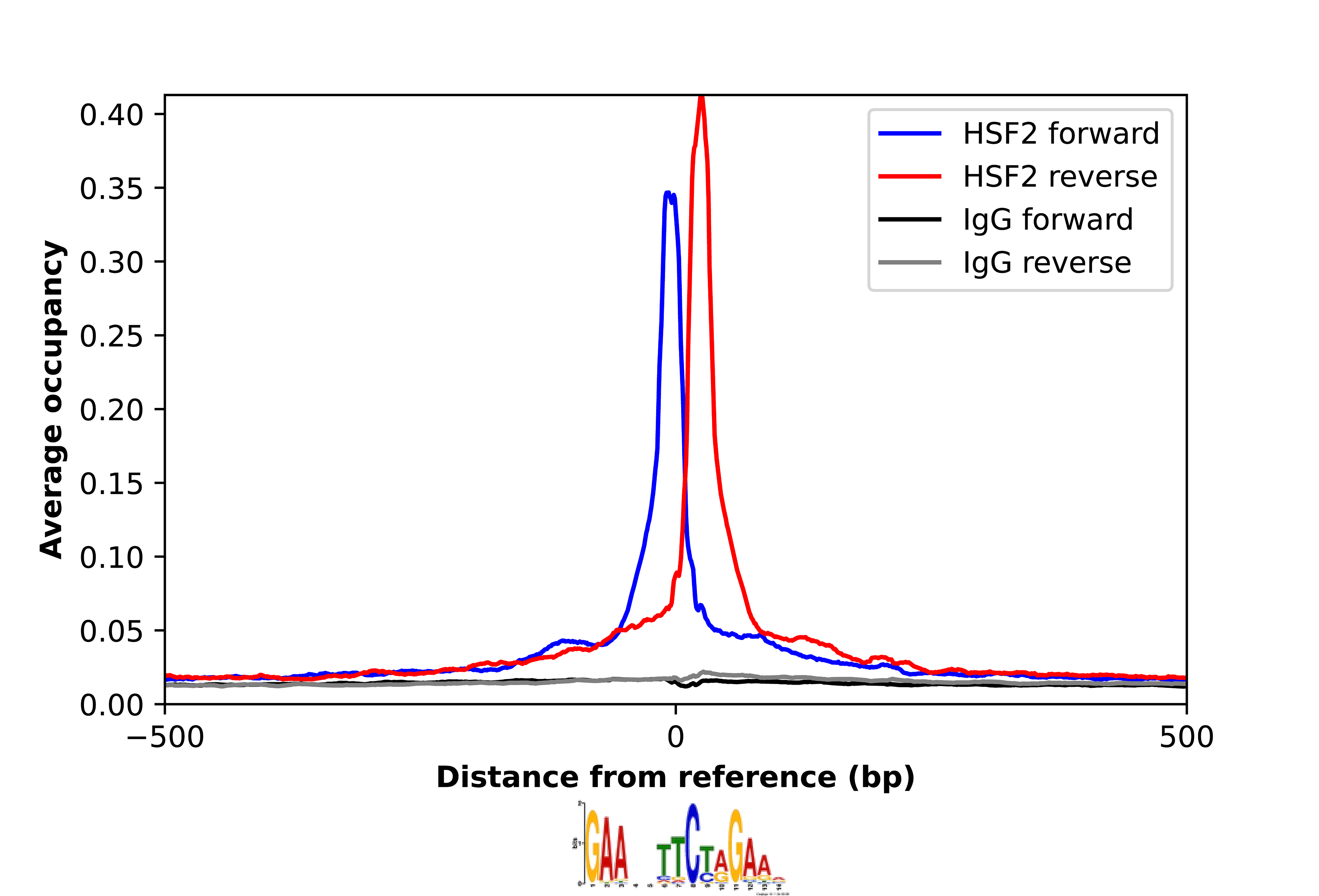 HSF2 Antibody - BSA Free Chromatin Immunoprecipitation-exo-Seq: HSF2 Antibody - BSA Free [NBP1-86330]