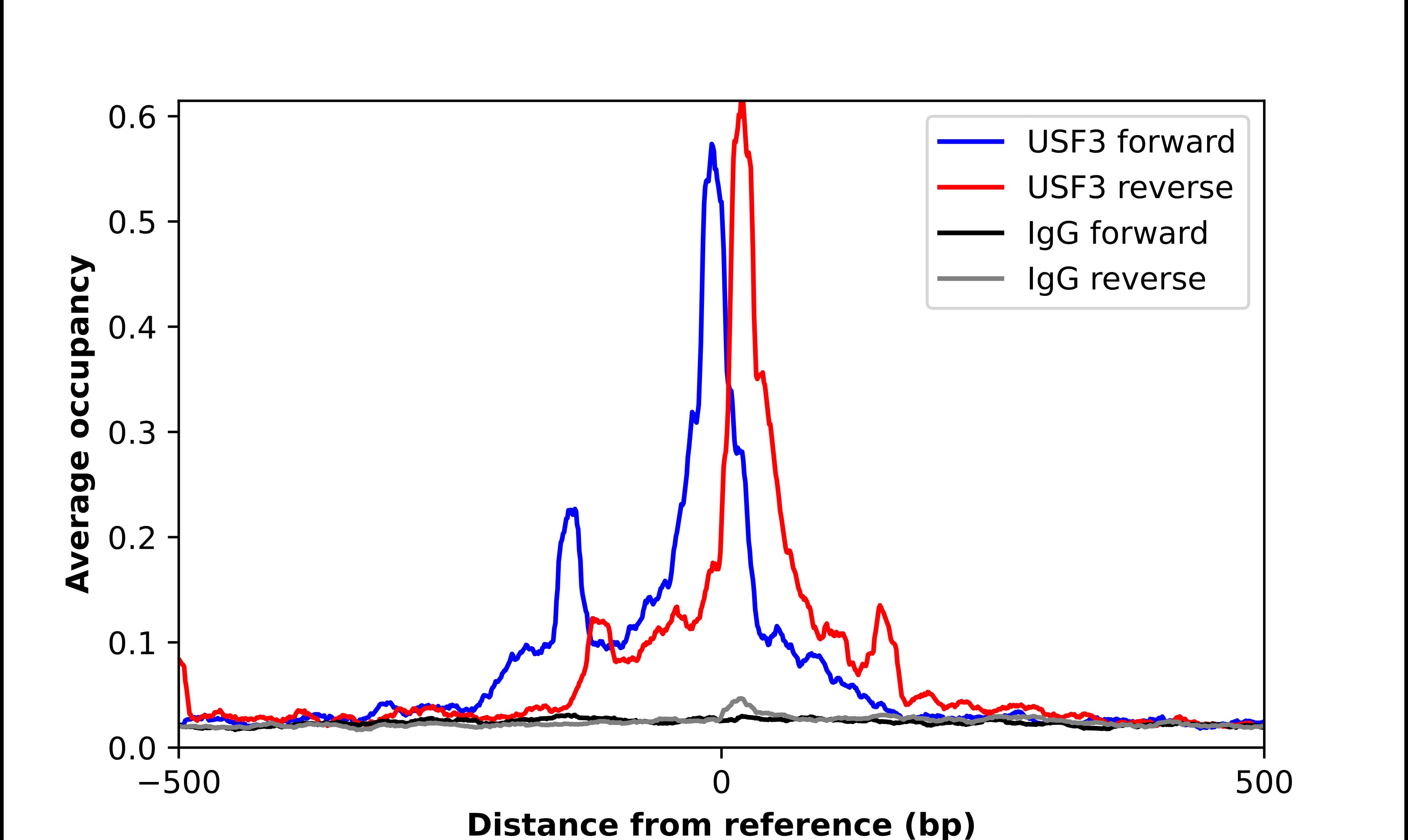 USF3 Antibody - BSA Free Chromatin Immunoprecipitation ChIP: USF3 Antibody - BSA Free