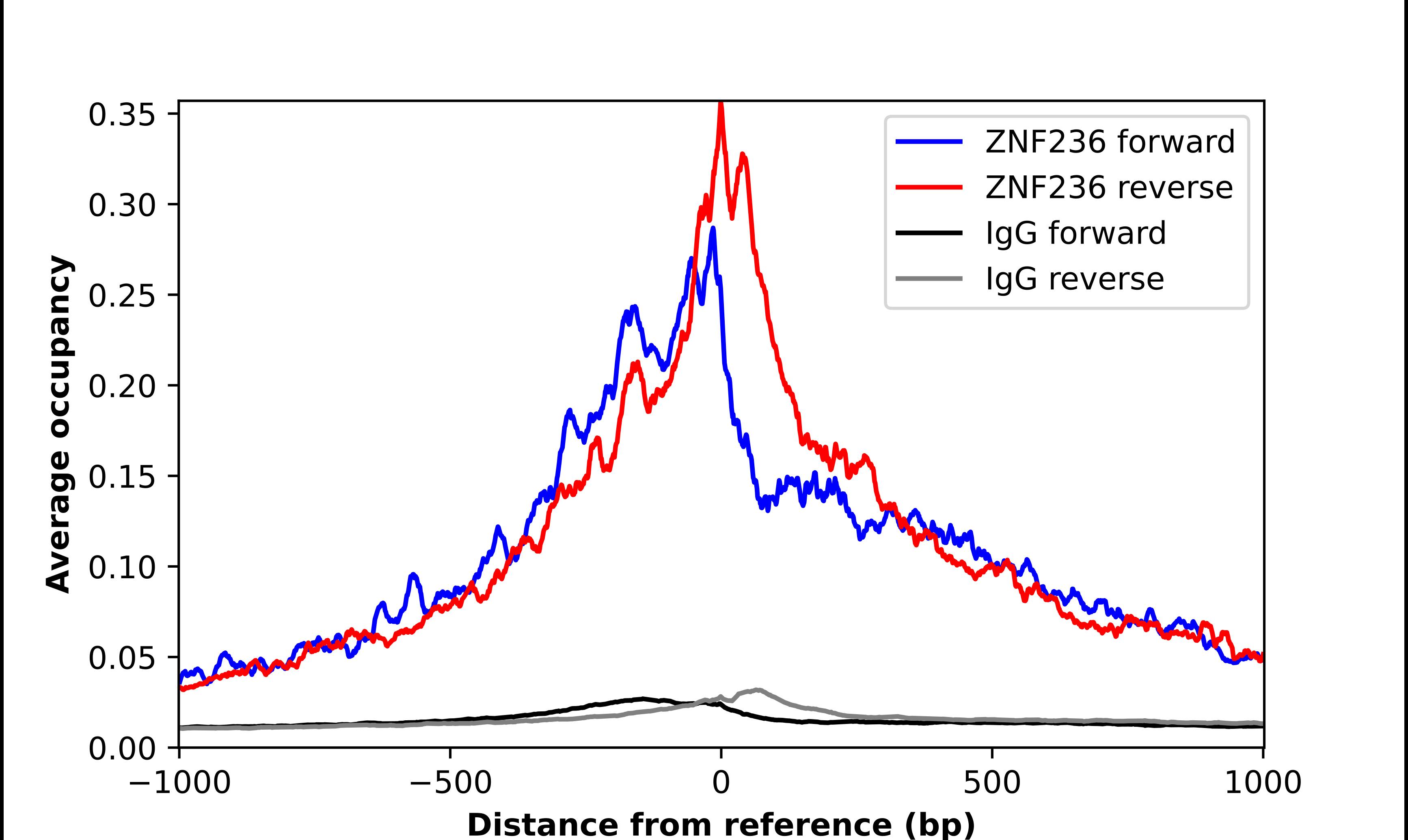 ZNF236 Antibody - BSA Free Chromatin Immunoprecipitation-exo-Seq: ZNF236 Antibody - BSA Free [NBP1-86486]