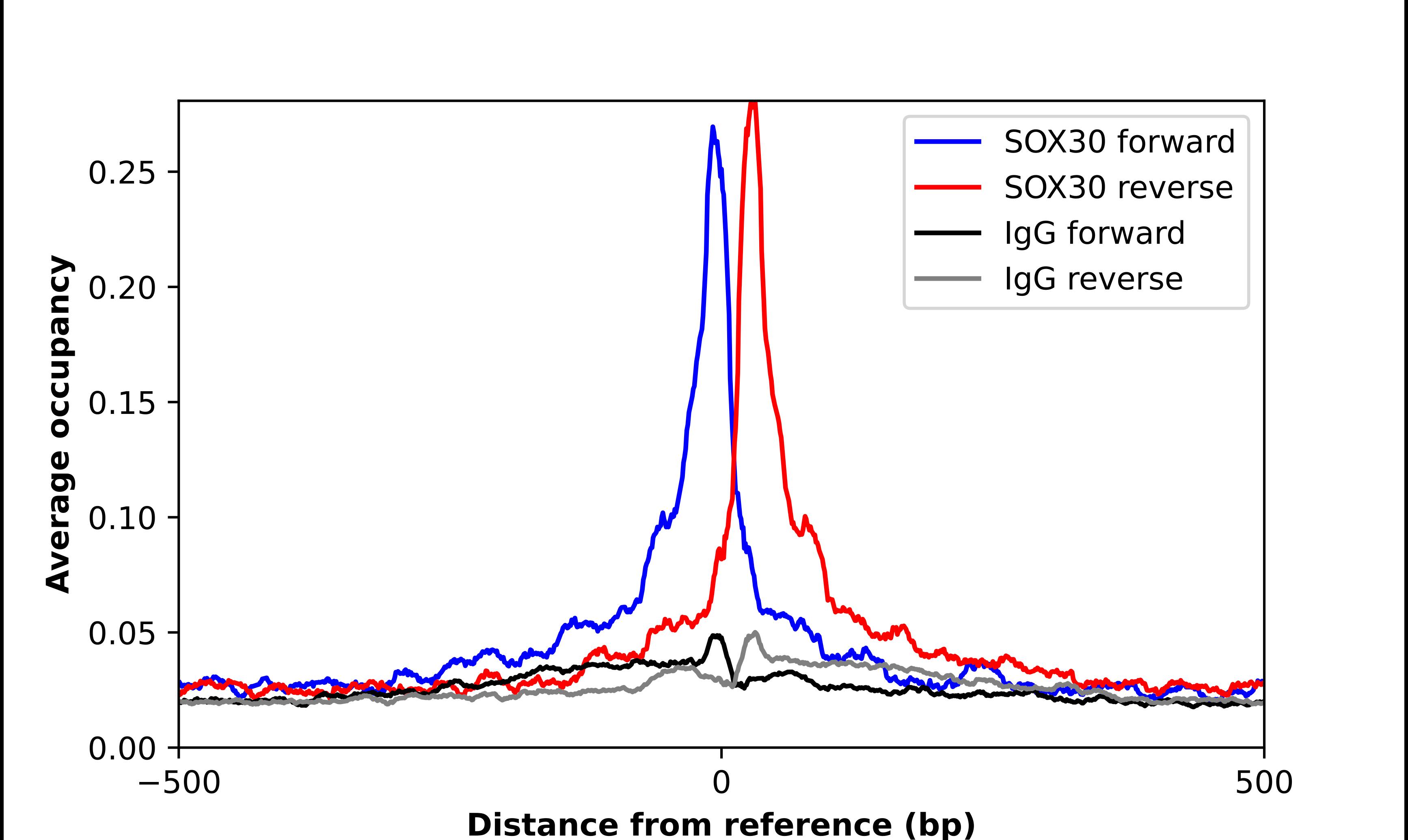 SOX30 Antibody - BSA Free Chromatin Immunoprecipitation ChIP: SOX30 Antibody - BSA Free
