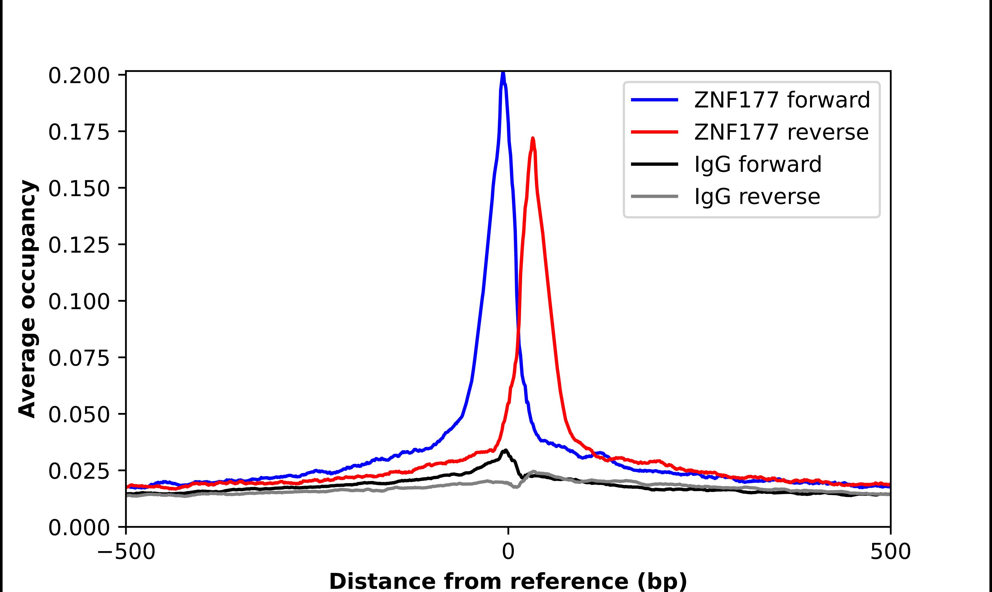 ZNF177 Antibody - BSA Free Chromatin Immunoprecipitation ChIP: ZNF177 Antibody - BSA Free