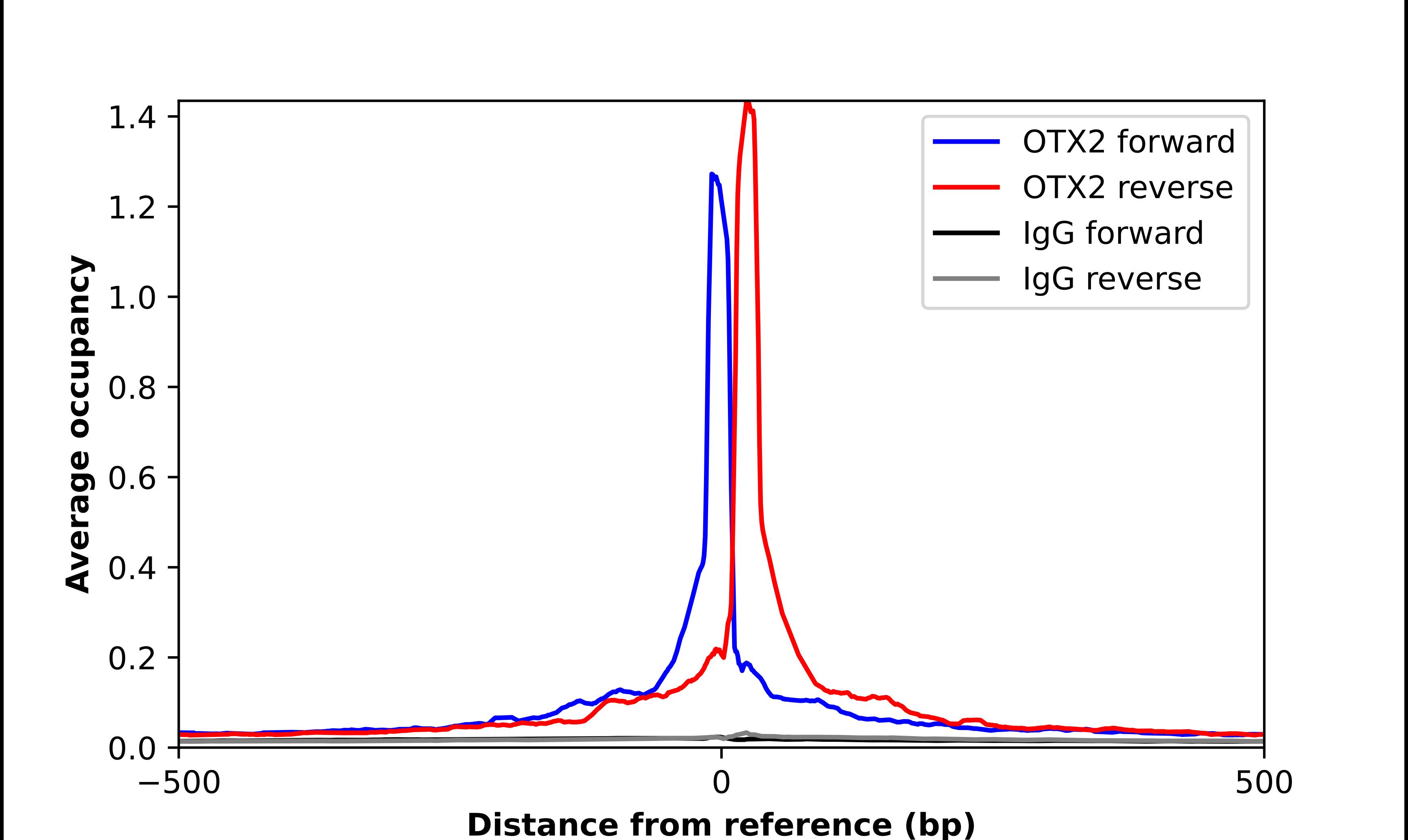 Otx2 Antibody - BSA Free Chromatin Immunoprecipitation-exo-Seq: Otx2 Antibody - BSA Free [NBP1-86533]
