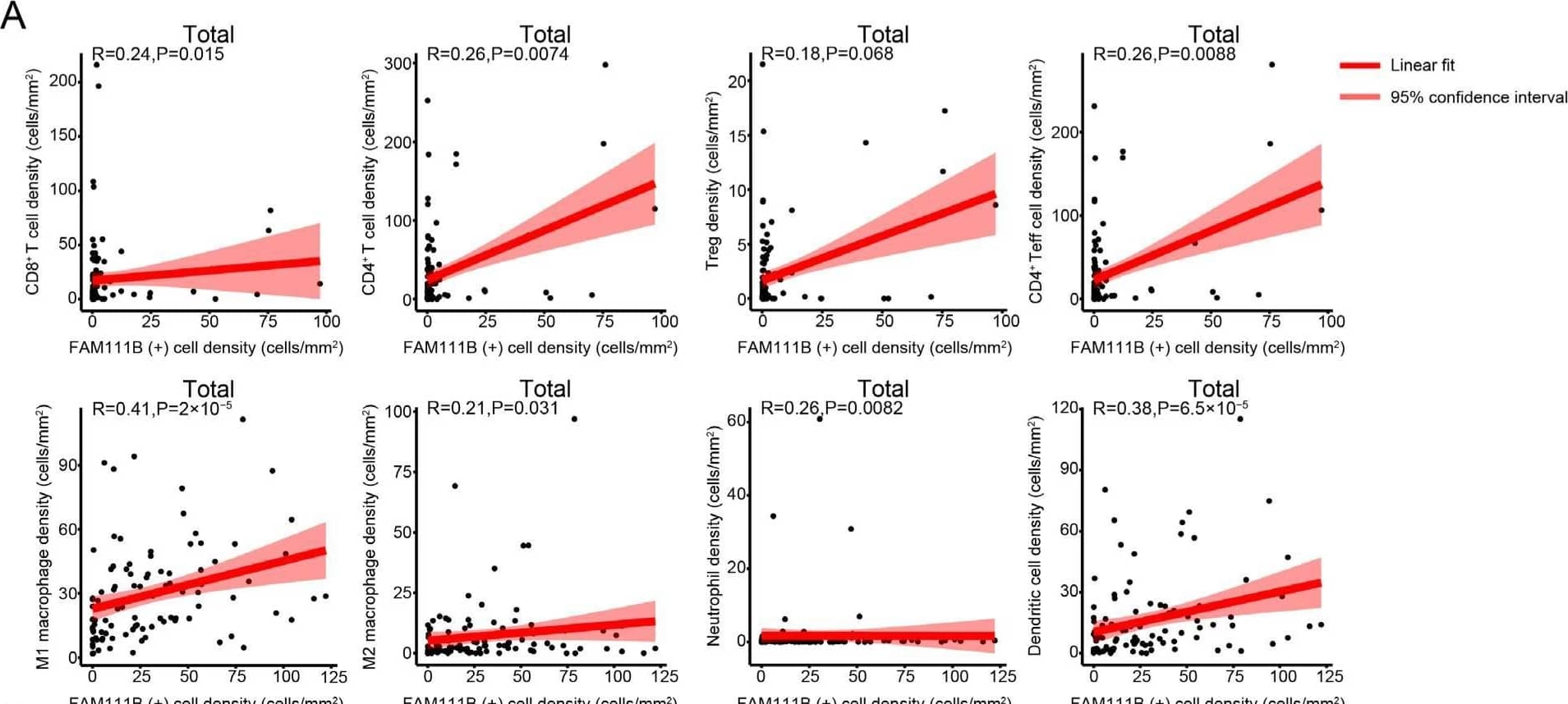 FAM111B Antibody - BSA Free