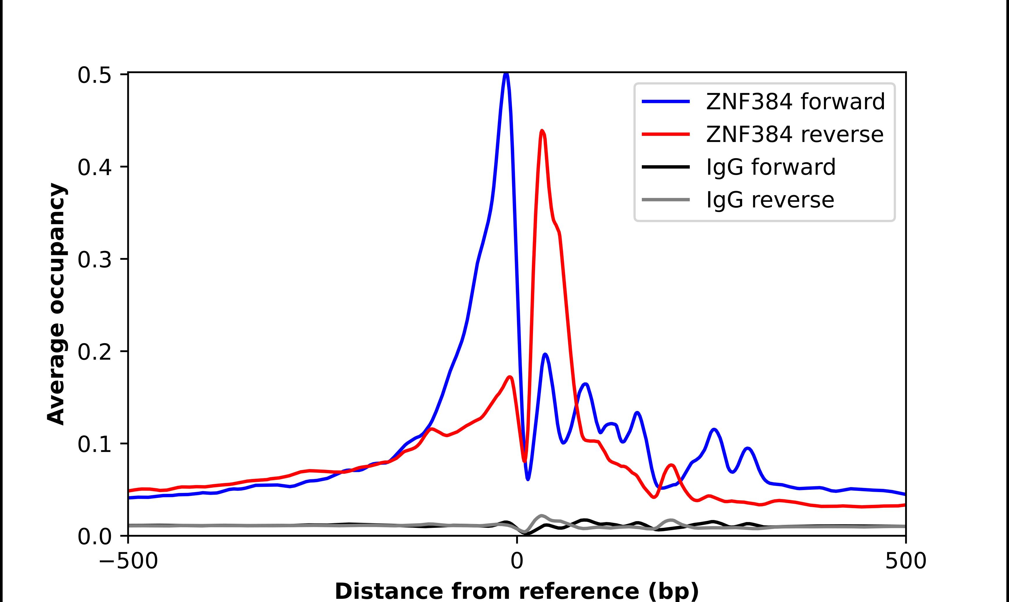 ZNF384 Antibody - BSA Free Chromatin Immunoprecipitation-exo-Seq: ZNF384 Antibody - BSA Free [NBP1-86675]