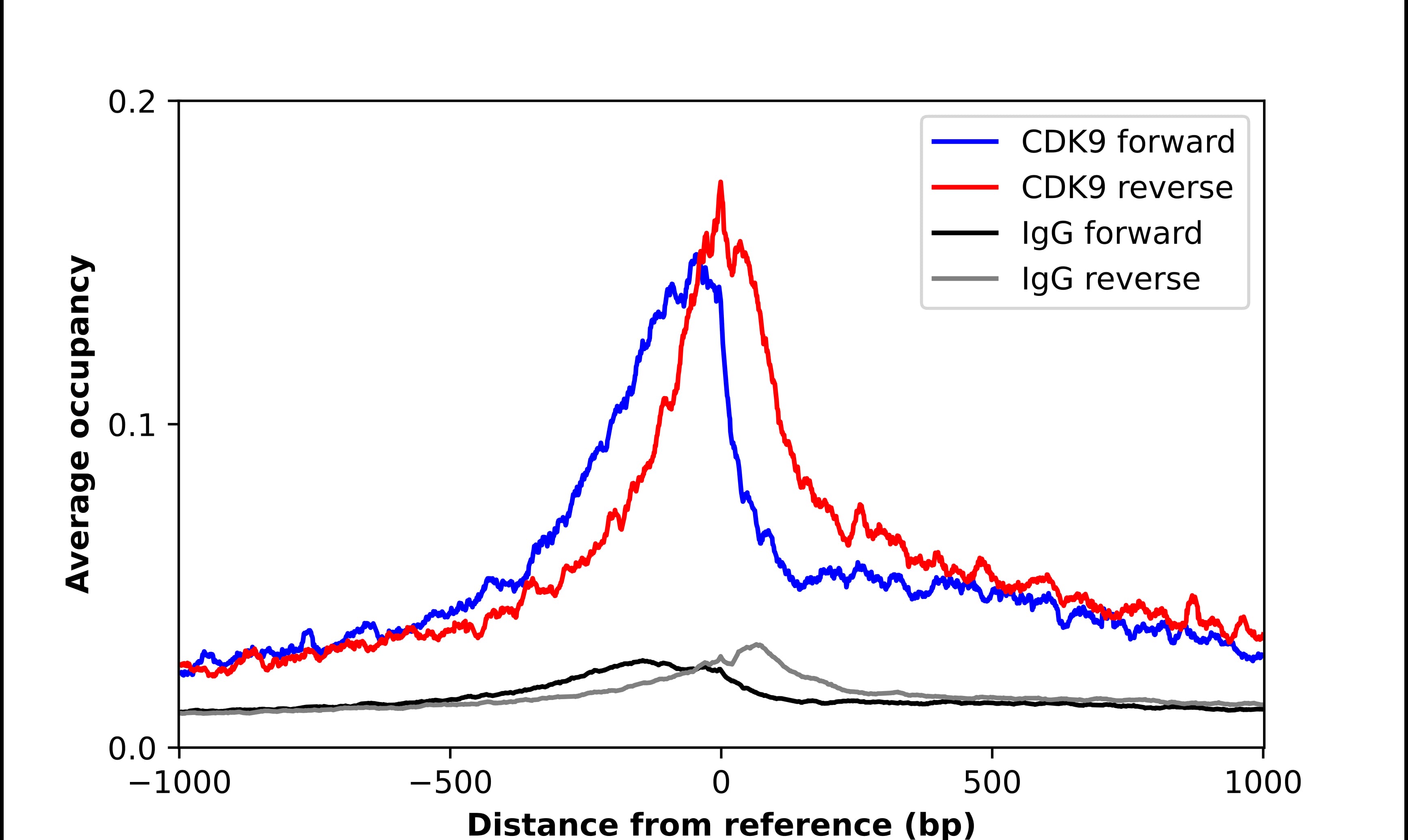 Cdk9 Antibody - BSA Free Chromatin Immunoprecipitation-exo-Seq: Cdk9 Antibody - BSA Free [NBP1-86808]