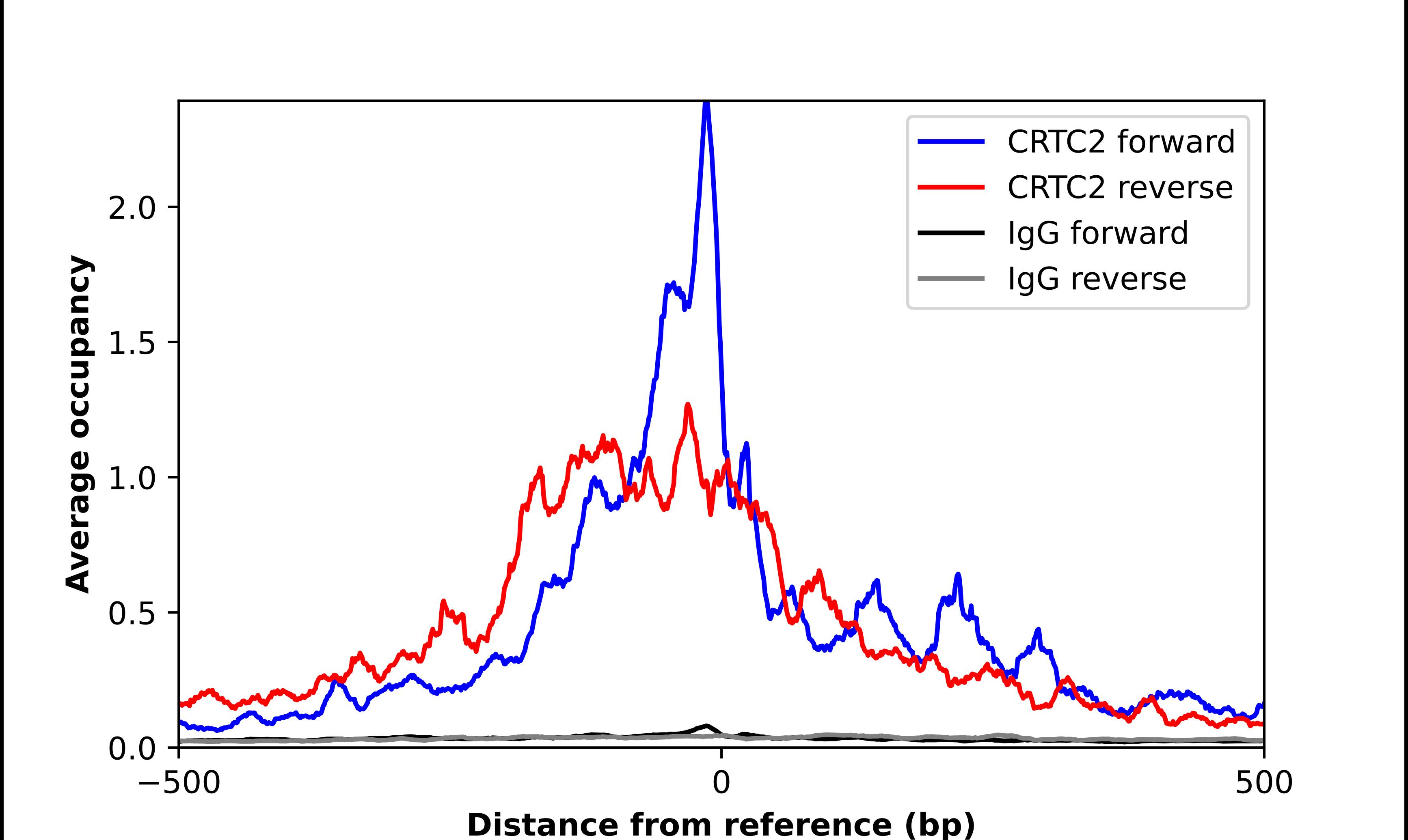 TORC2 Antibody - BSA Free Chromatin Immunoprecipitation-exo-Seq: TORC2 Antibody - BSA Free [NBP1-86926]