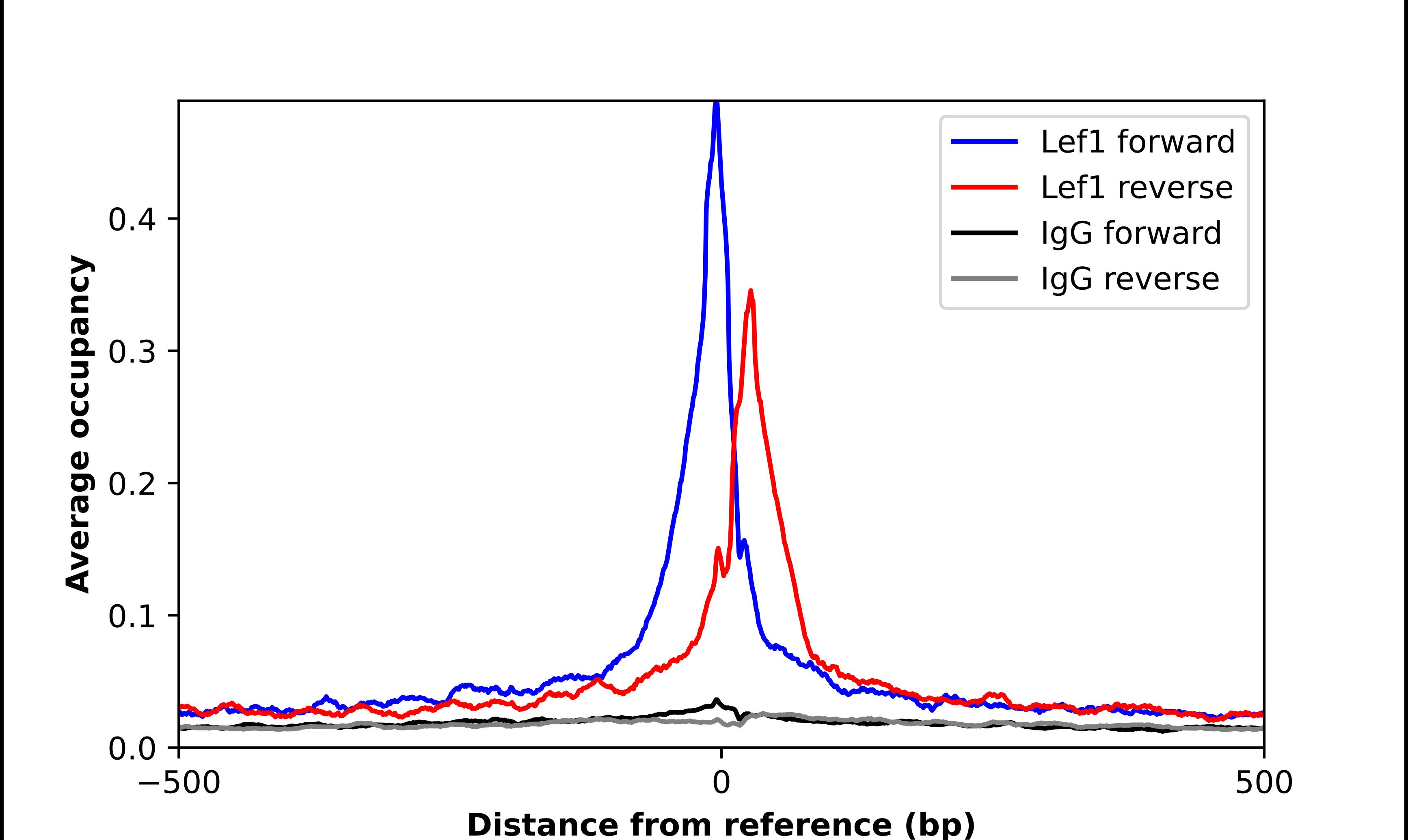 LEF1 Antibody - BSA Free Chromatin Immunoprecipitation-exo-Seq: LEF1 Antibody - BSA Free [NBP1-86960]