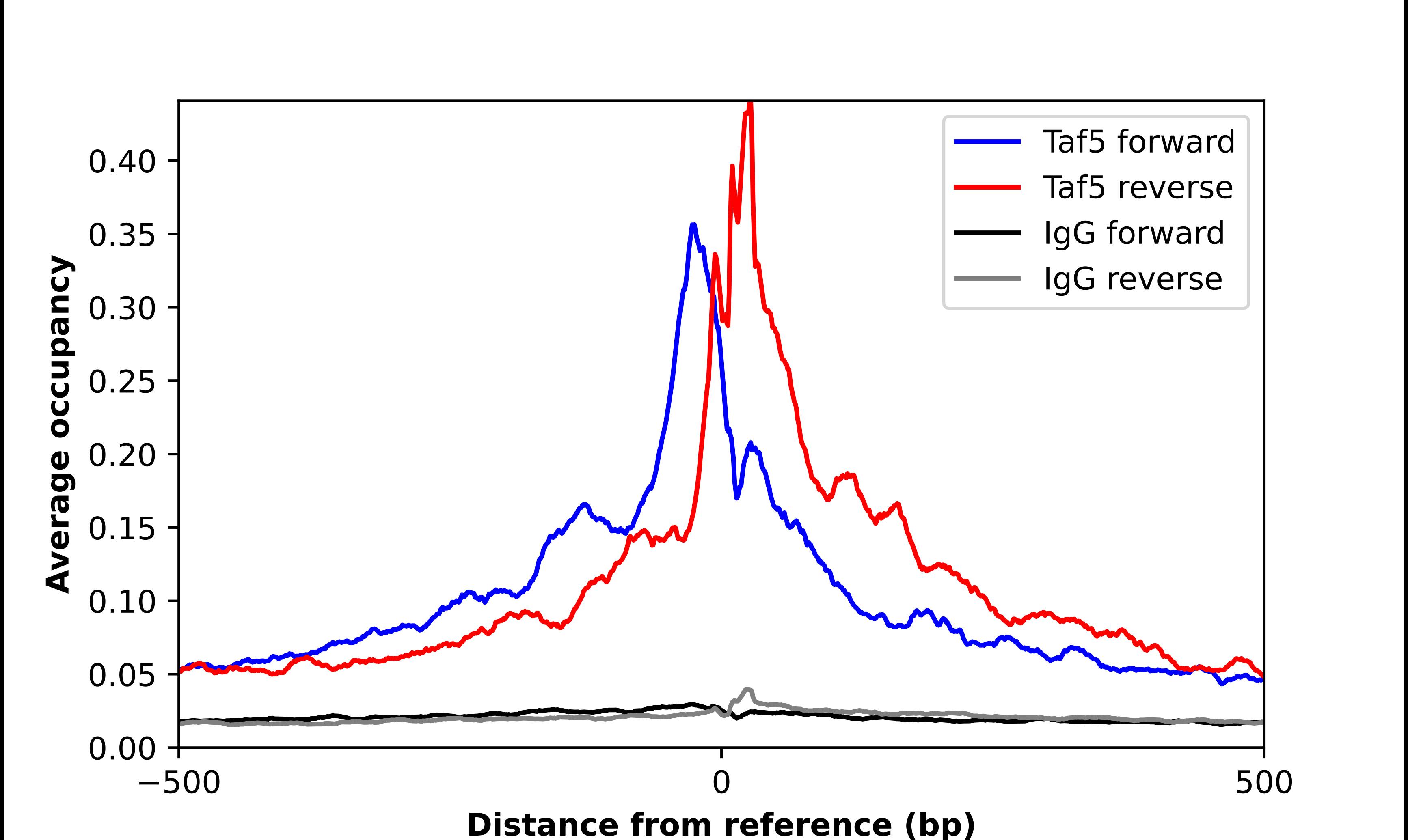 TAF5 Antibody - BSA Free Chromatin Immunoprecipitation ChIP: TAF5 Antibody - BSA Free