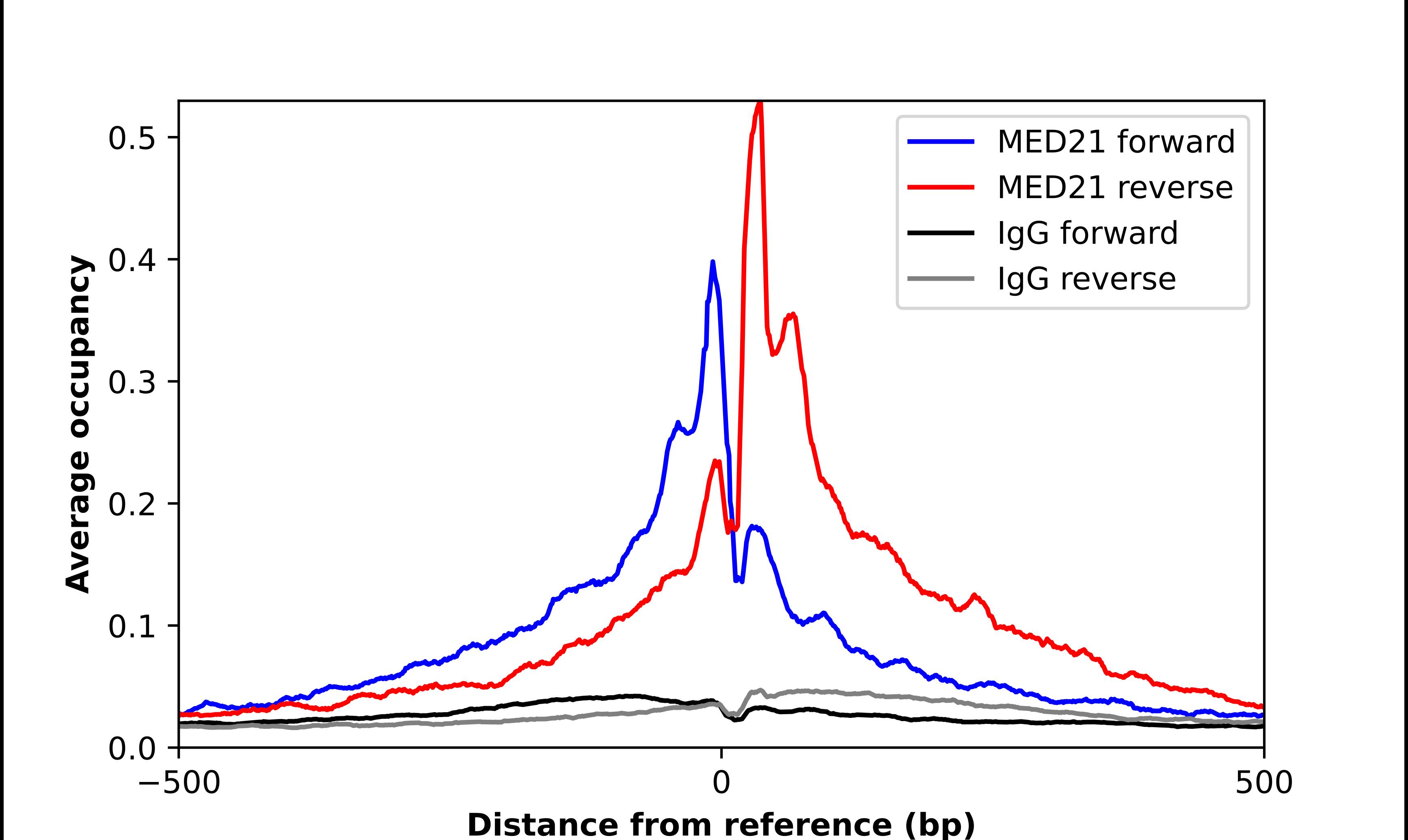 MED21 Antibody - BSA Free Chromatin Immunoprecipitation ChIP: MED21 Antibody - BSA Free