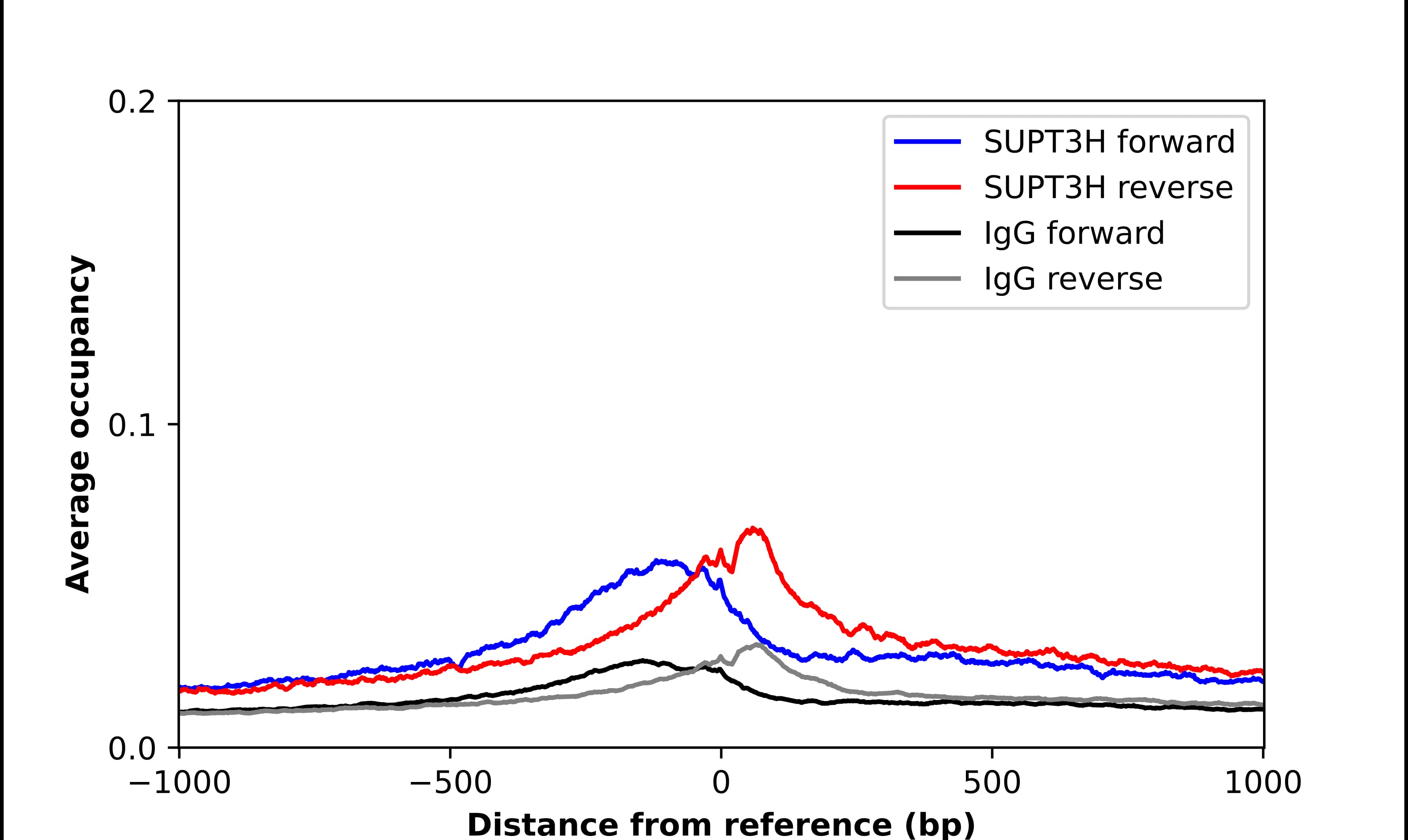 SPT3 Antibody - BSA Free Chromatin Immunoprecipitation-exo-Seq: SPT3 Antibody - BSA Free [NBP1-87007]
