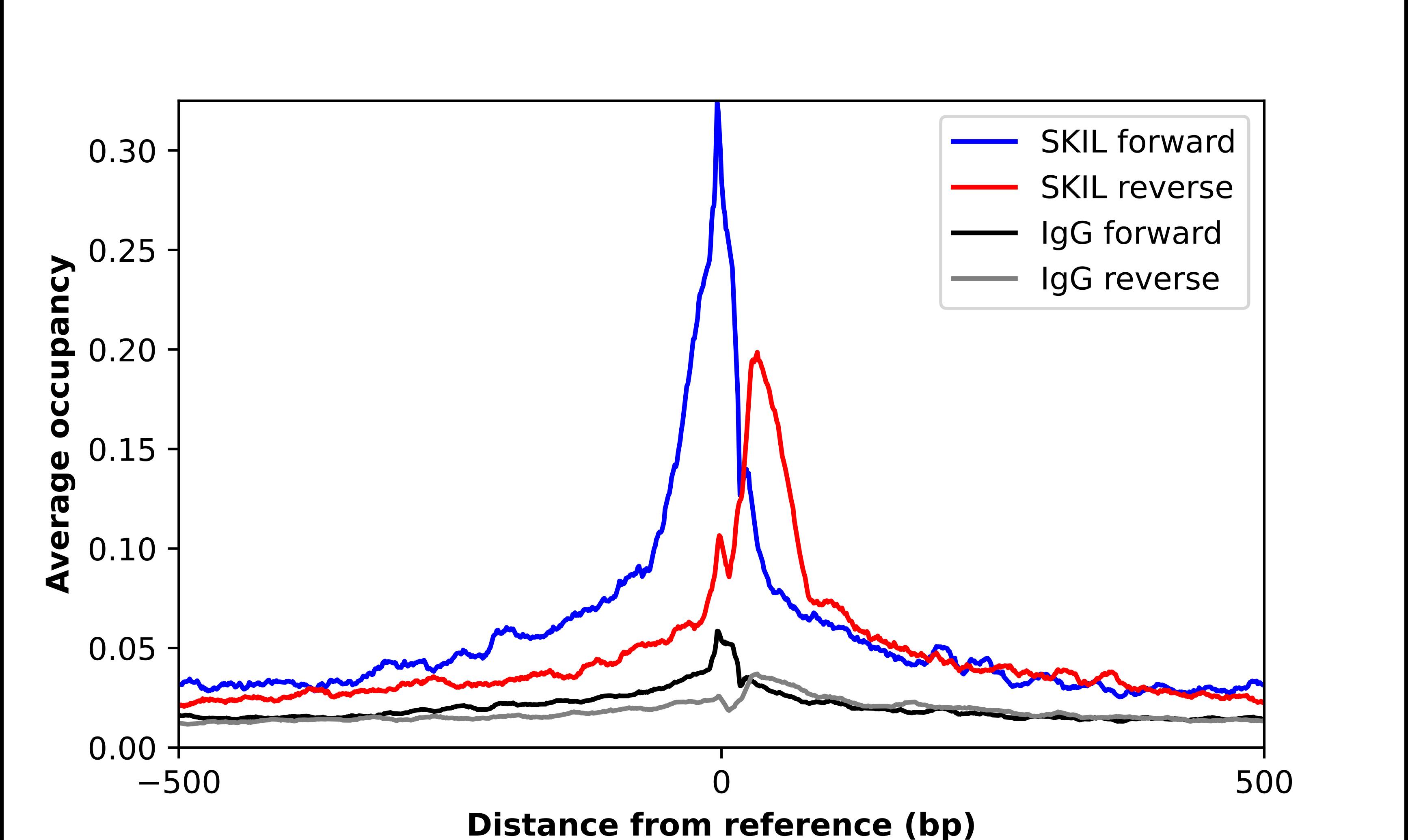 SnoN Antibody - BSA Free Chromatin Immunoprecipitation-exo-Seq: SnoN Antibody - BSA Free [NBP1-87020]