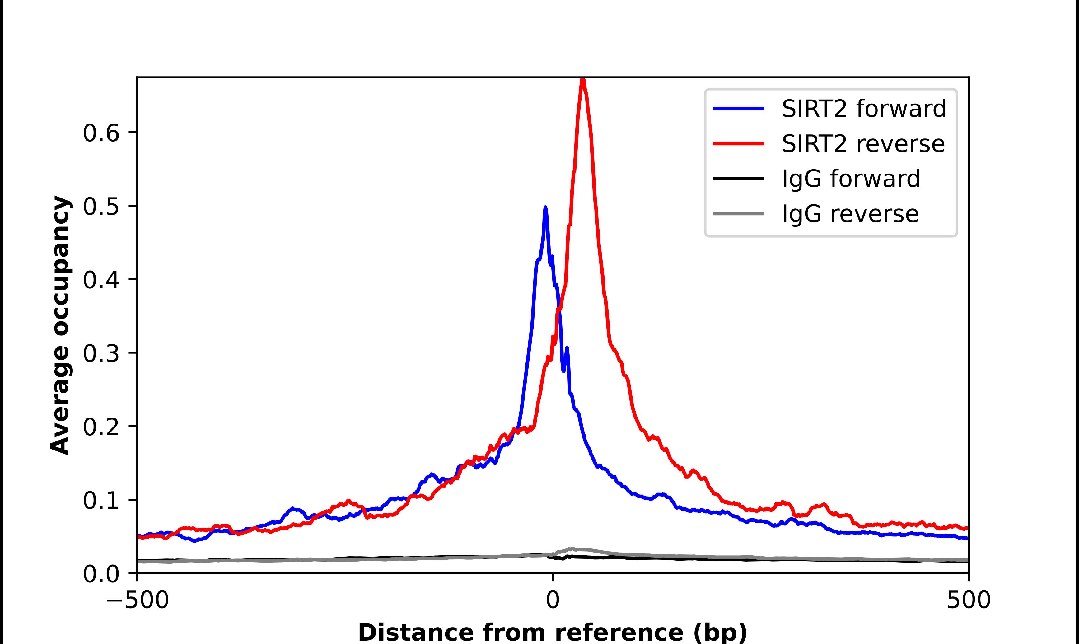 Sirtuin 2/SIRT2 Antibody - BSA Free Chromatin Immunoprecipitation-exo-Seq: Sirtuin 2/SIRT2 Antibody - BSA Free [NBP1-87039]
