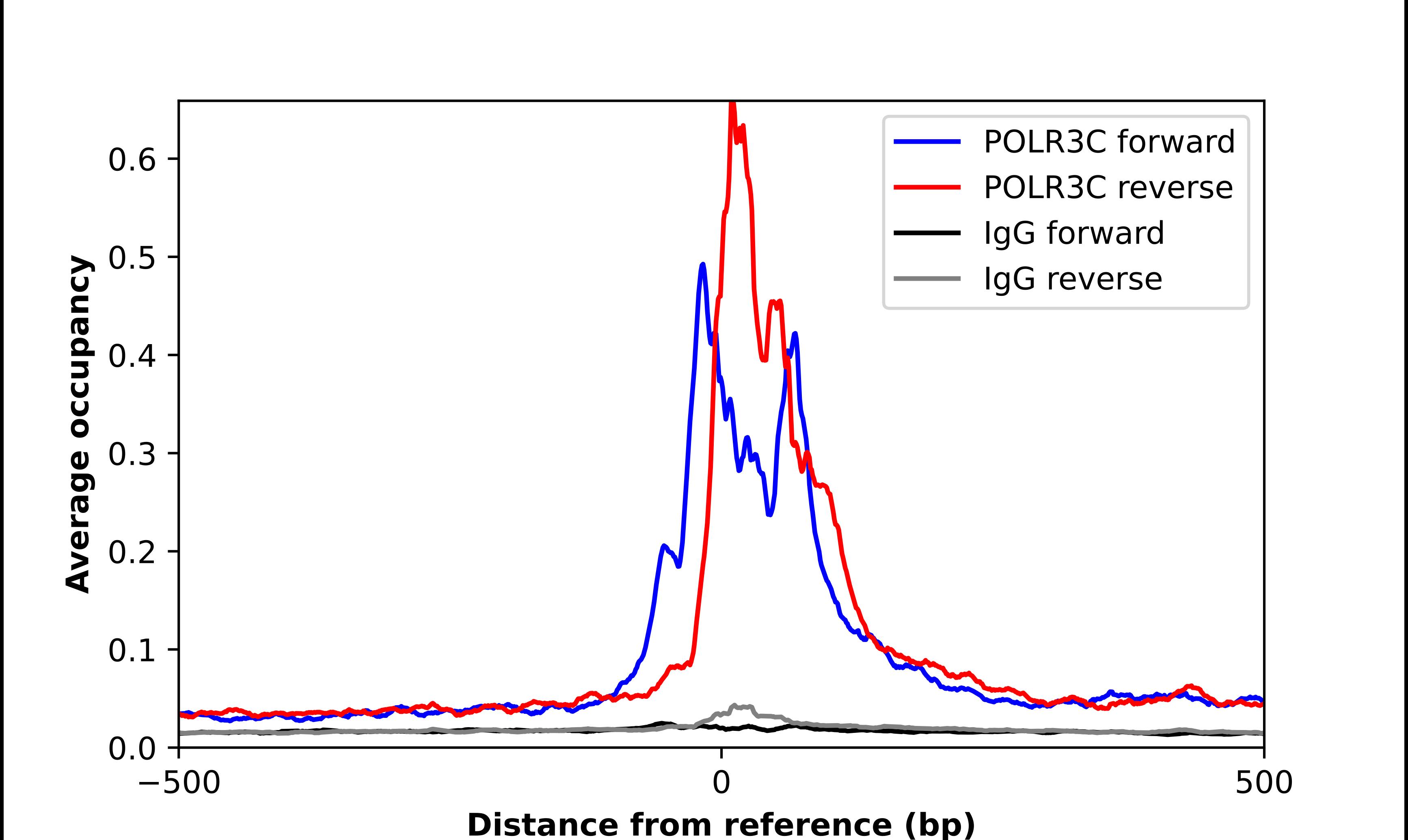 RPC62 Antibody - BSA Free Chromatin Immunoprecipitation ChIP: RPC62 Antibody - BSA Free