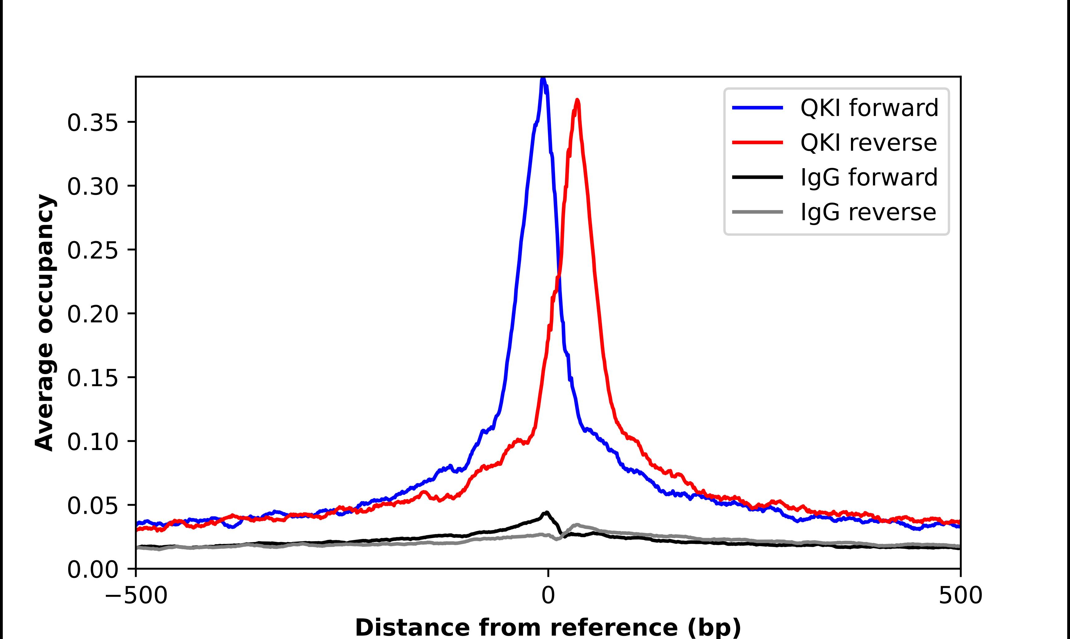 QKI/Quaking Antibody - BSA Free Chromatin Immunoprecipitation-exo-Seq: QKI/Quaking Antibody - BSA Free [NBP1-87178]