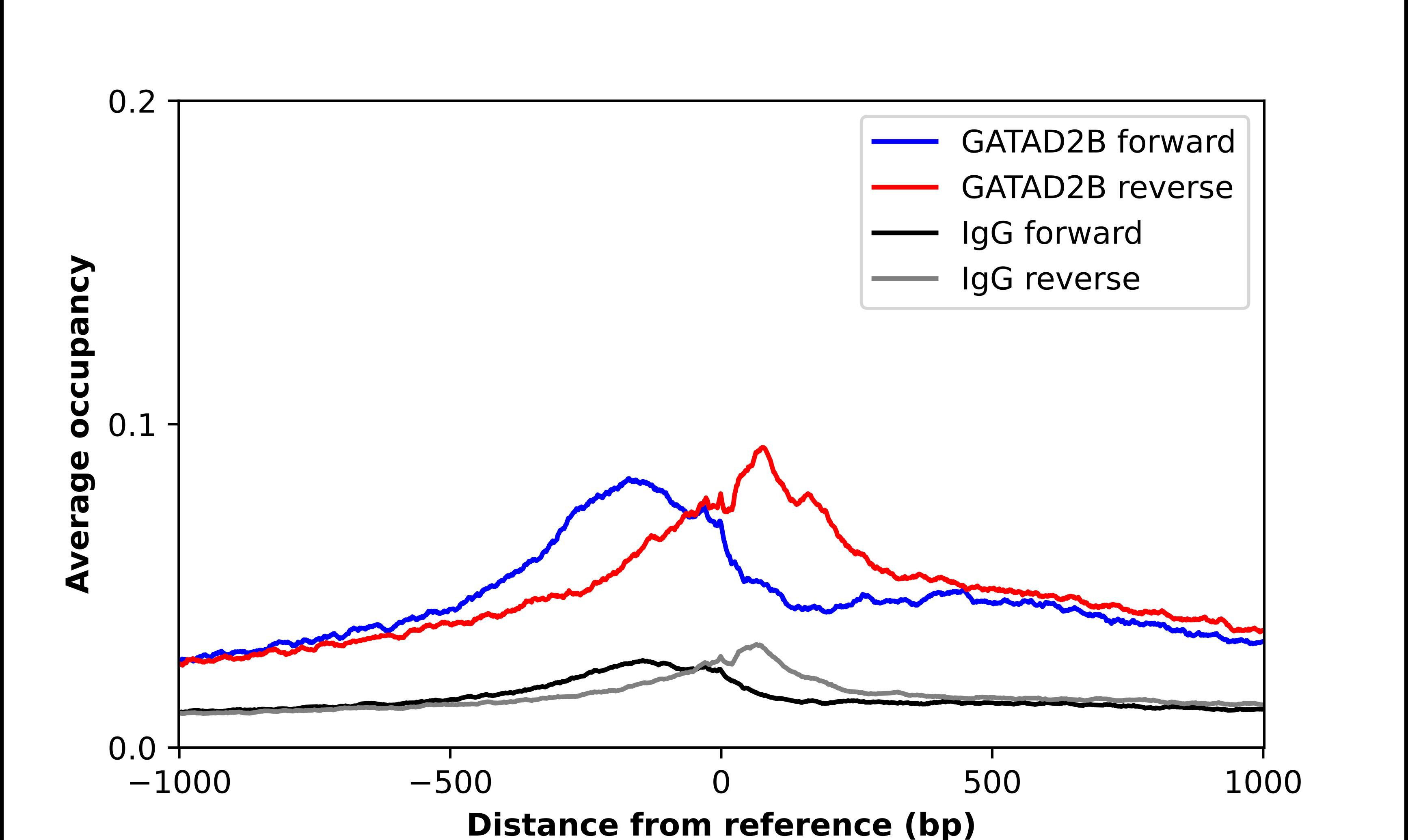 p66 beta Antibody - BSA Free Chromatin Immunoprecipitation-exo-Seq: p66 beta Antibody - BSA Free [NBP1-87358]