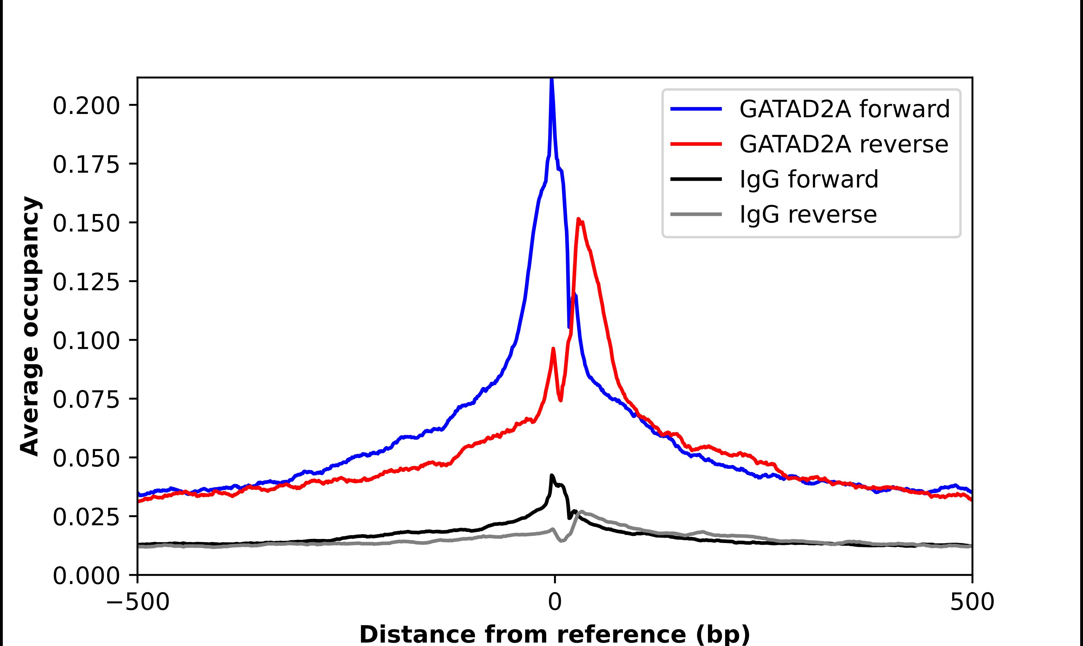 p66 alpha Antibody - BSA Free Chromatin Immunoprecipitation-exo-Seq: p66 alpha Antibody - BSA Free [NBP1-87360]