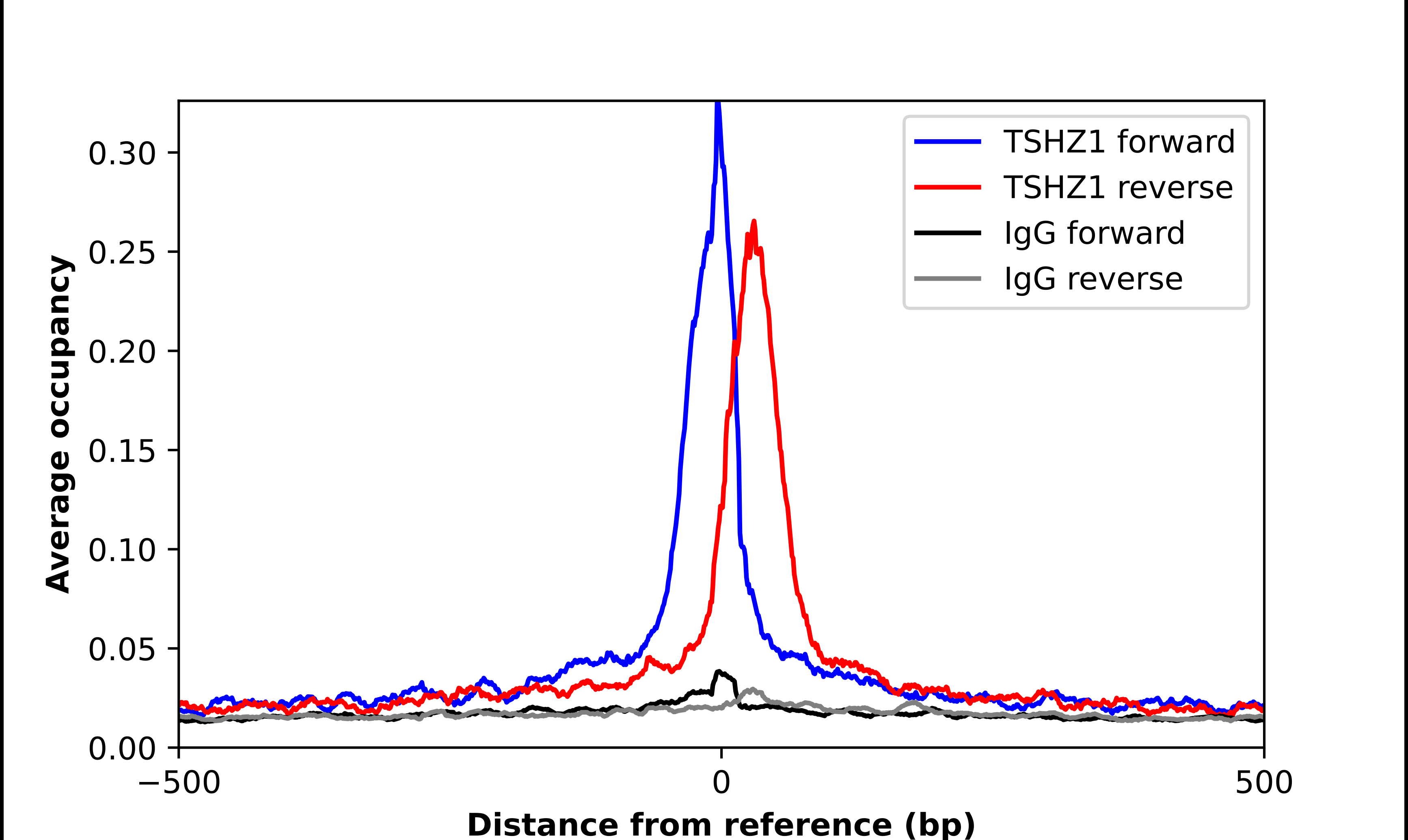 Teashirt homolog 1 Antibody - BSA Free Chromatin Immunoprecipitation-exo-Seq: Teashirt homolog 1 Antibody - BSA Free [NBP1-87377]