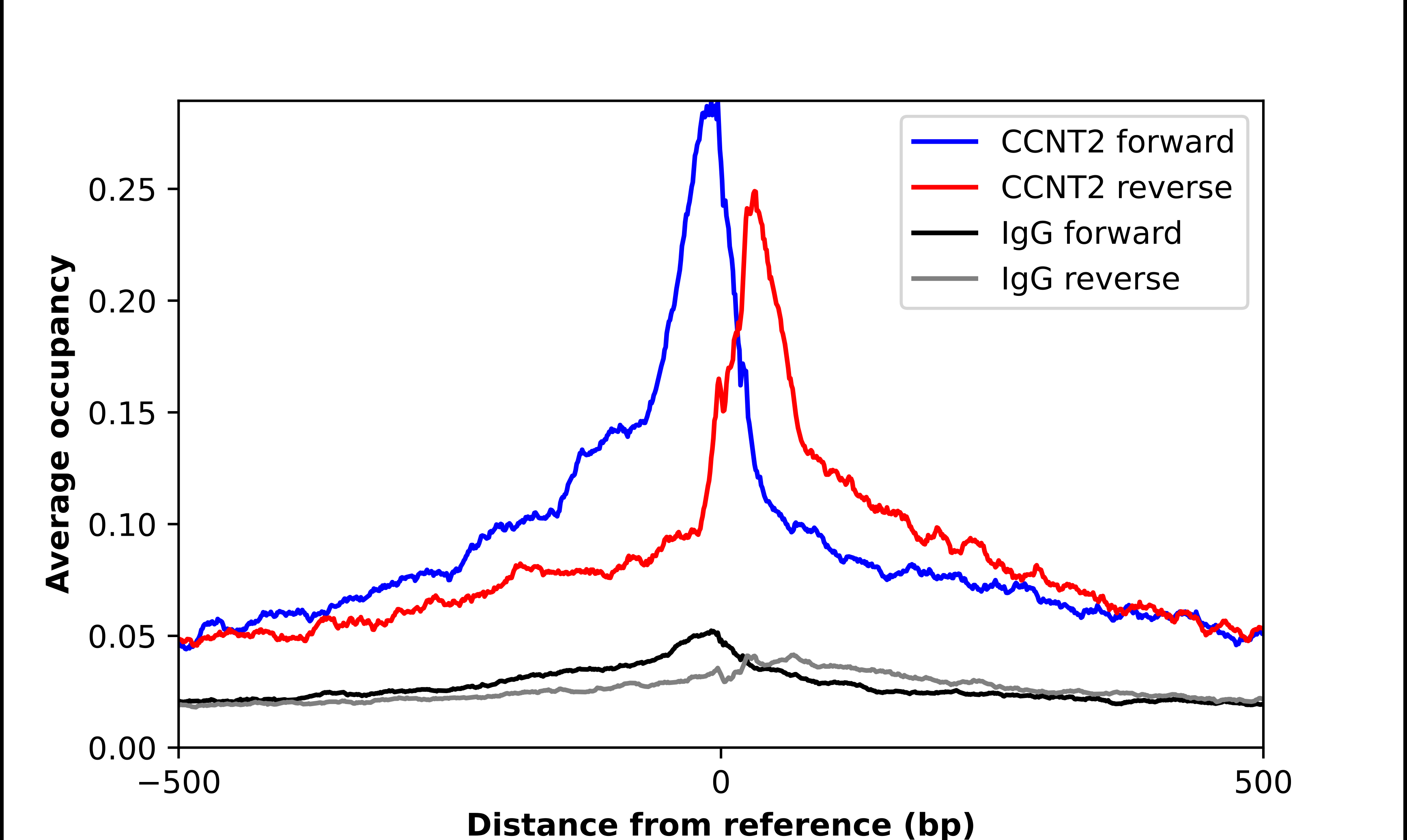 Cyclin T2 Antibody - BSA Free Chromatin Immunoprecipitation-exo-Seq: Cyclin T2 Antibody - BSA Free [NBP1-87592]