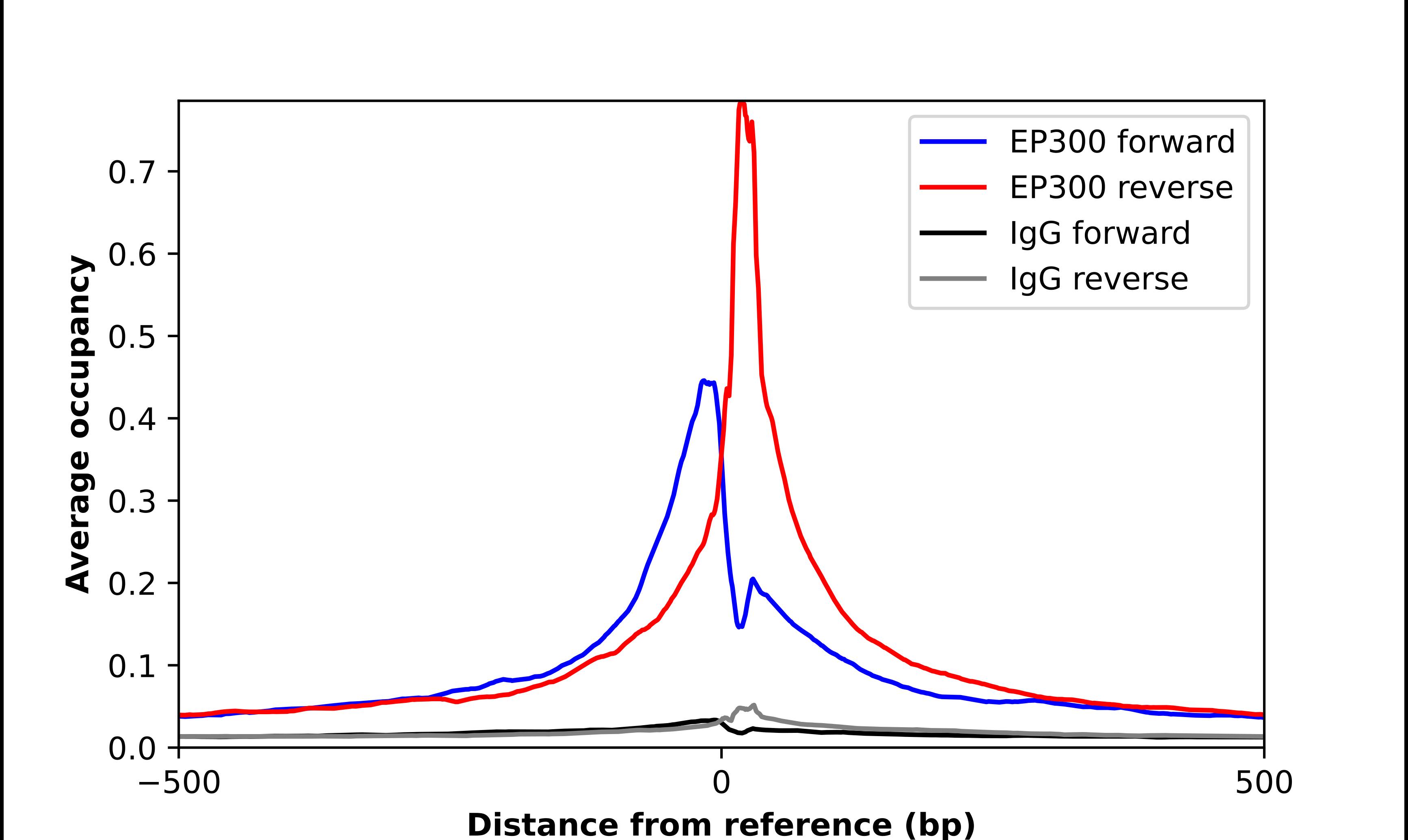 KAT3B/p300 Antibody - BSA Free Chromatin Immunoprecipitation-exo-Seq: KAT3B/p300 Antibody - BSA Free [NBP1-87694]