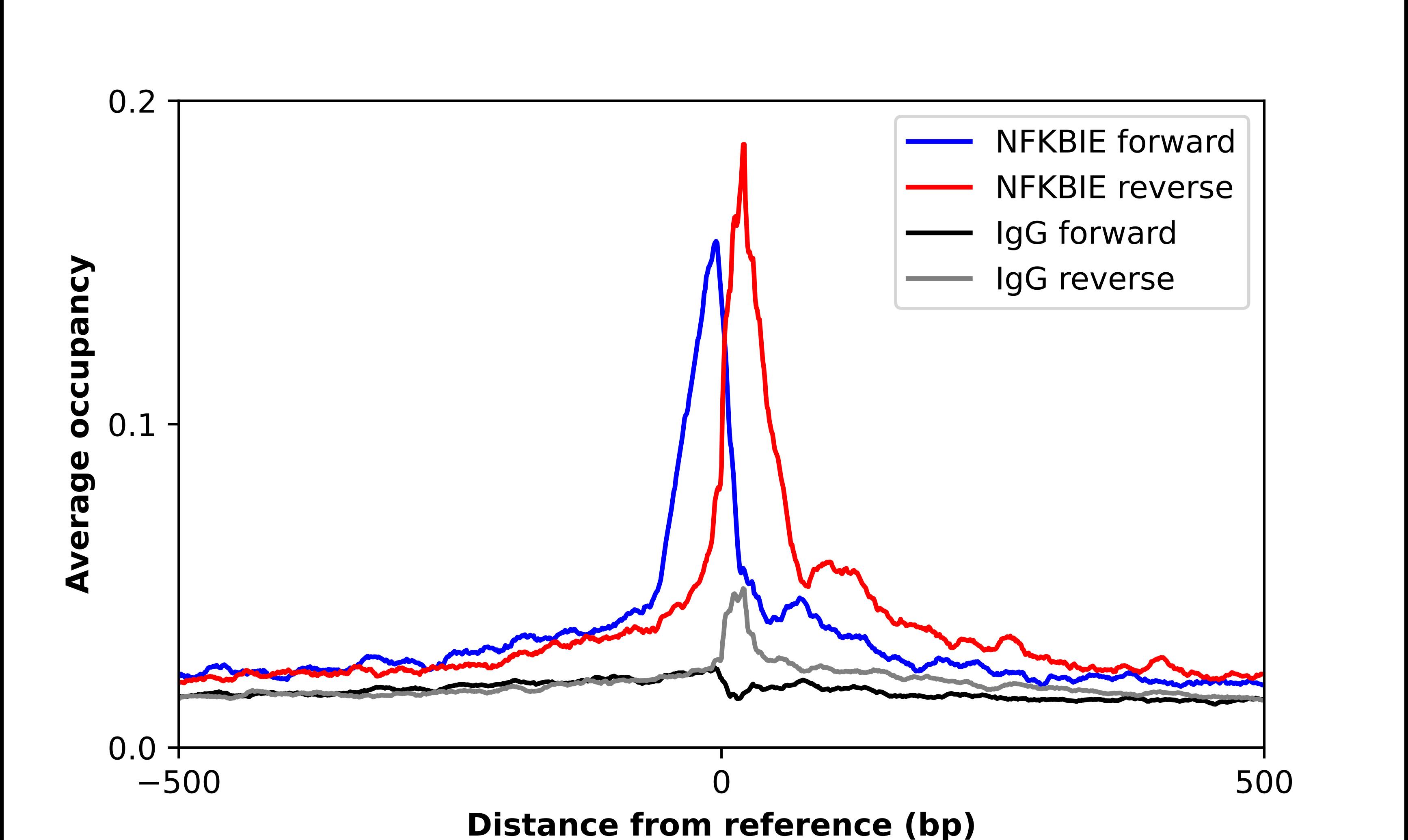 IkB-epsilon Antibody - BSA Free Chromatin Immunoprecipitation ChIP: IkB-epsilon Antibody - BSA Free