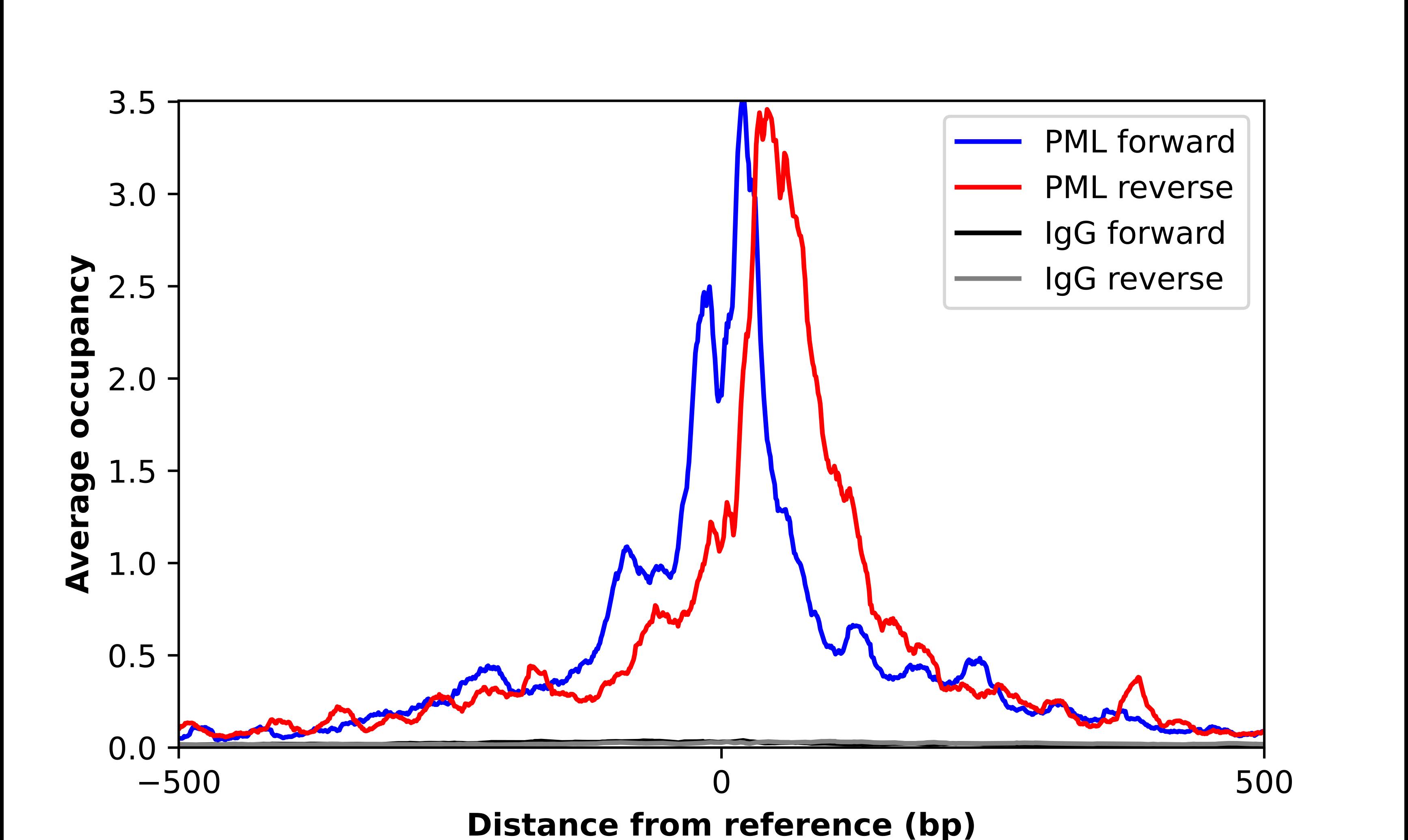 PML Protein Antibody - BSA Free Chromatin Immunoprecipitation-exo-Seq: PML Protein Antibody - BSA Free [NBP1-87783]