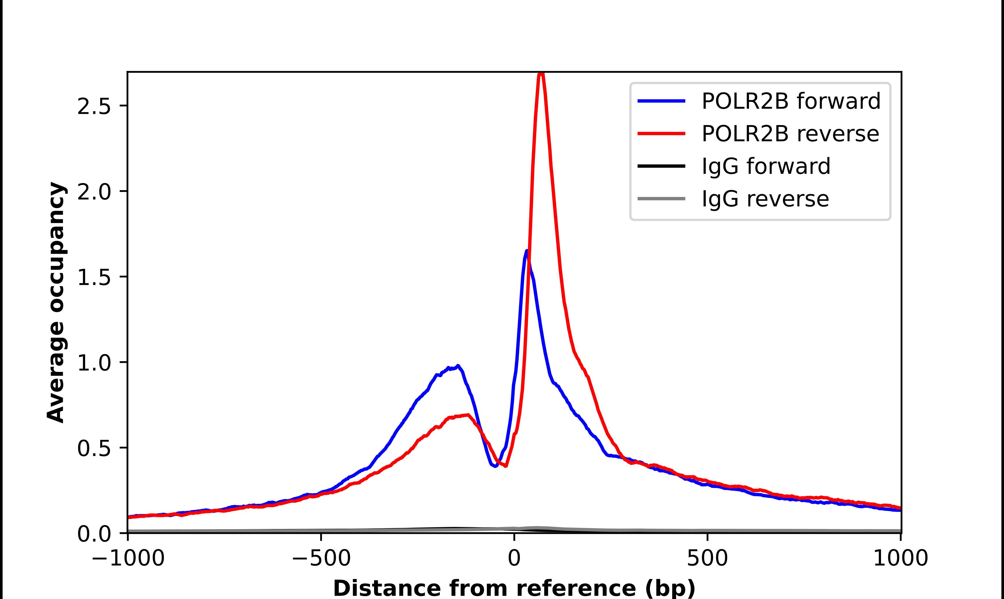 RPB2 Antibody - BSA Free Chromatin Immunoprecipitation-exo-Seq: RPB2 Antibody - BSA Free [NBP1-87786]