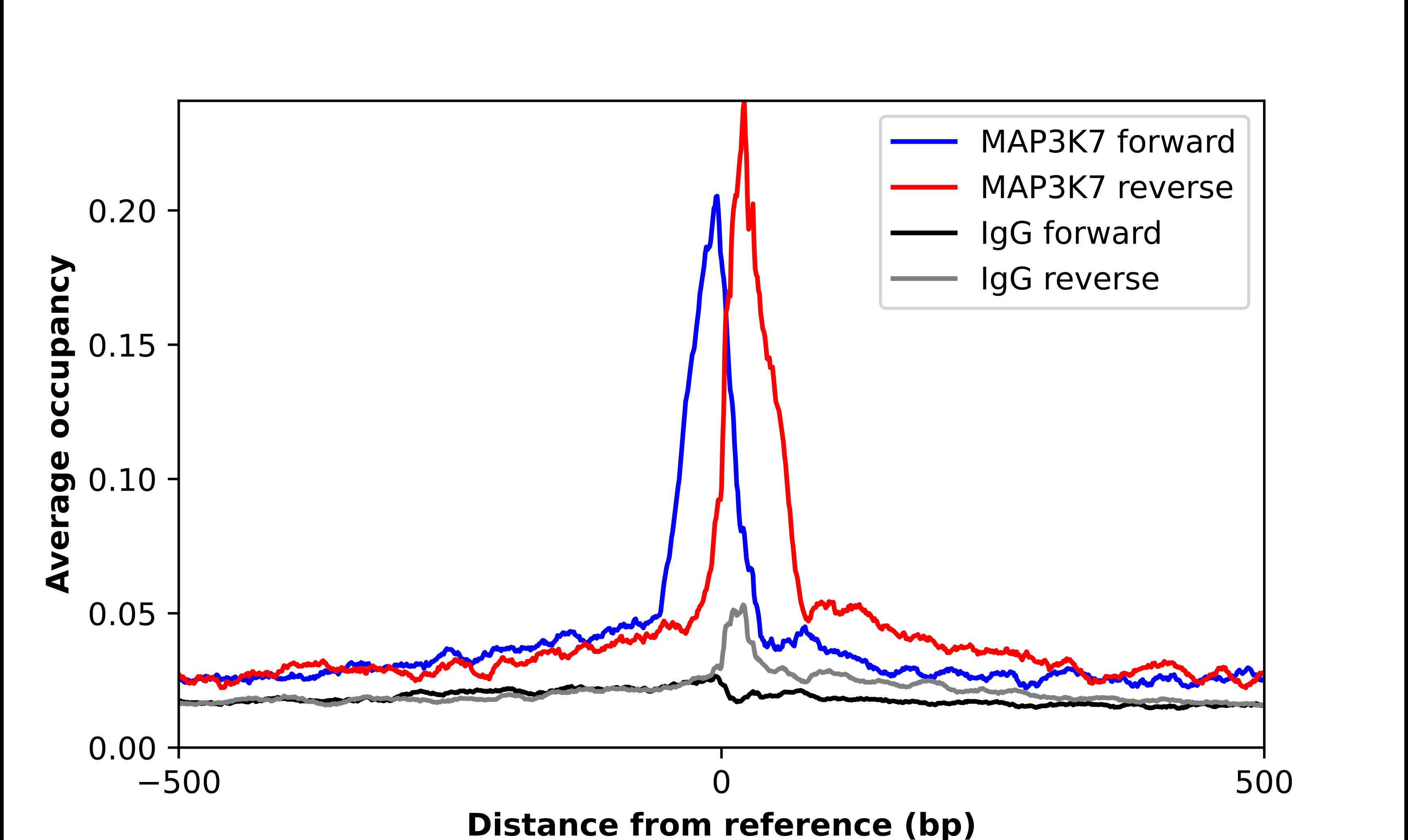 TAK1 Antibody - BSA Free Chromatin Immunoprecipitation-exo-Seq: TAK1 Antibody - BSA Free [NBP1-87819]
