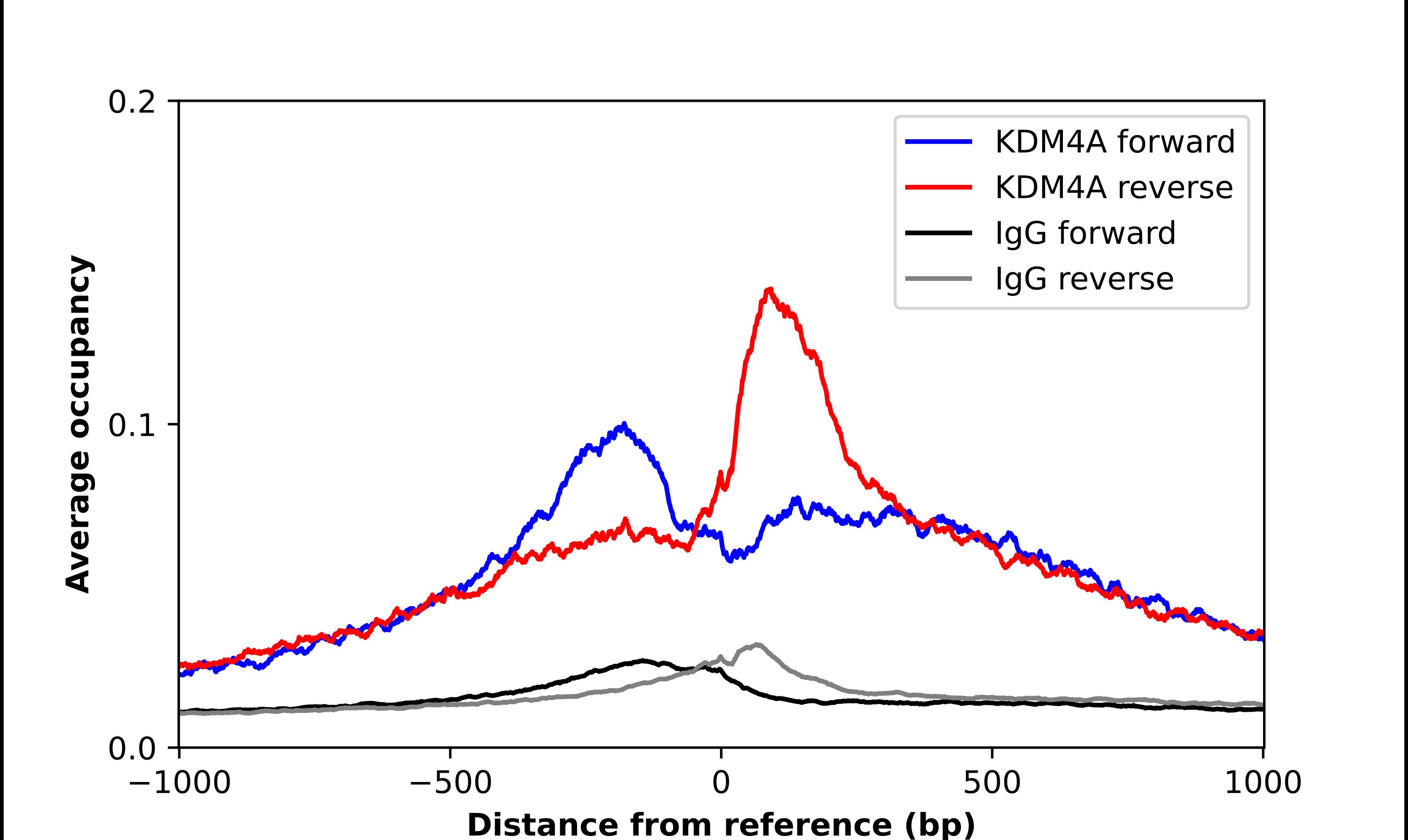 Lysine (K)-specific Demethylase 4A/KDM4A/JMJD2A Antibody - BSA Free Chromatin Immunoprecipitation-exo-Seq: Lysine (K)-specific Demethylase 4A/KDM4A/JMJD2A Antibody - BSA Free [NBP1-87855]