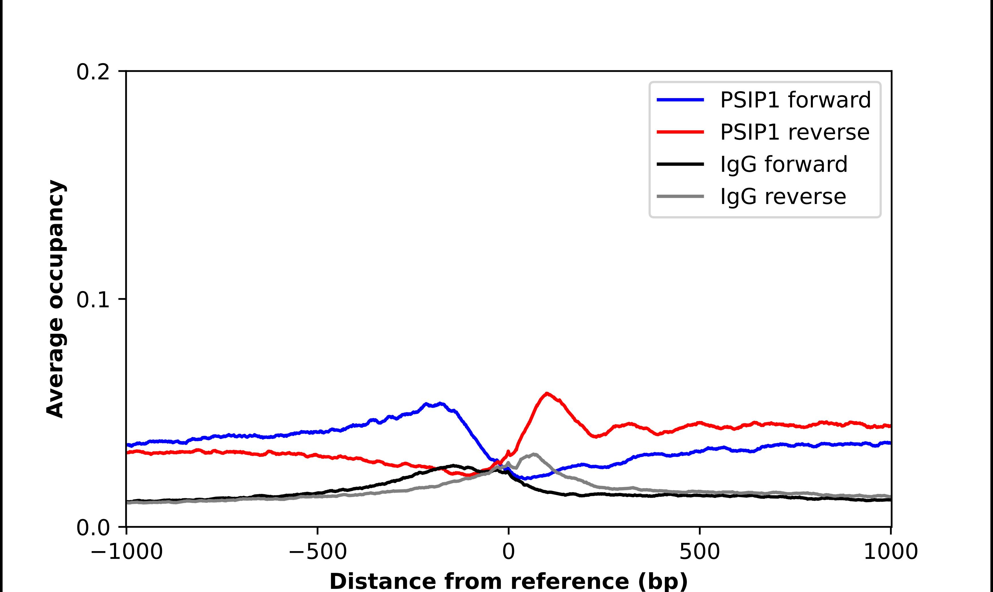 LEDGF Antibody - BSA Free Chromatin Immunoprecipitation-exo-Seq: LEDGF Antibody - BSA Free [NBP1-87885]