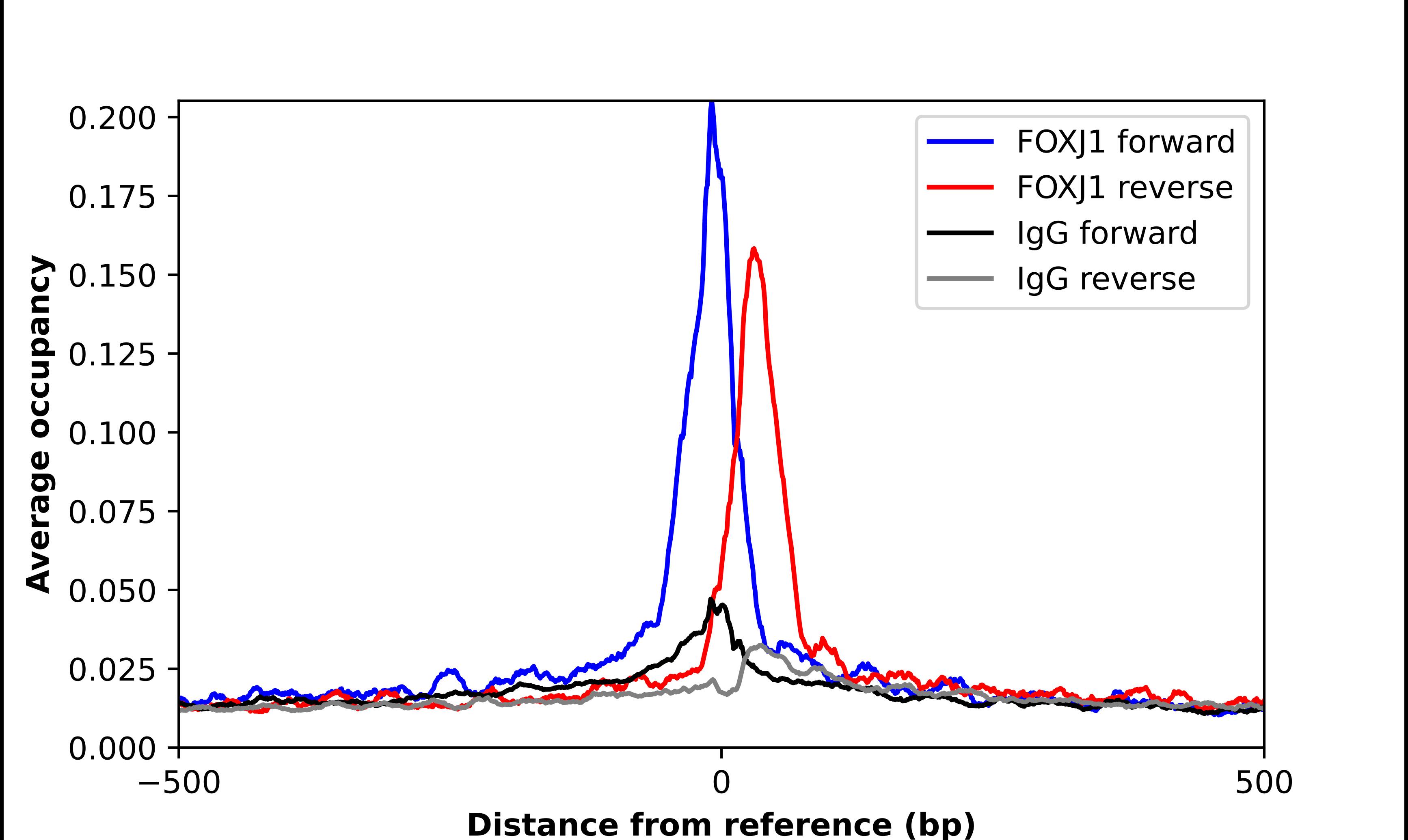 FoxJ1/HFH4 Antibody - BSA Free Chromatin Immunoprecipitation ChIP: FoxJ1/HFH4 Antibody - BSA Free