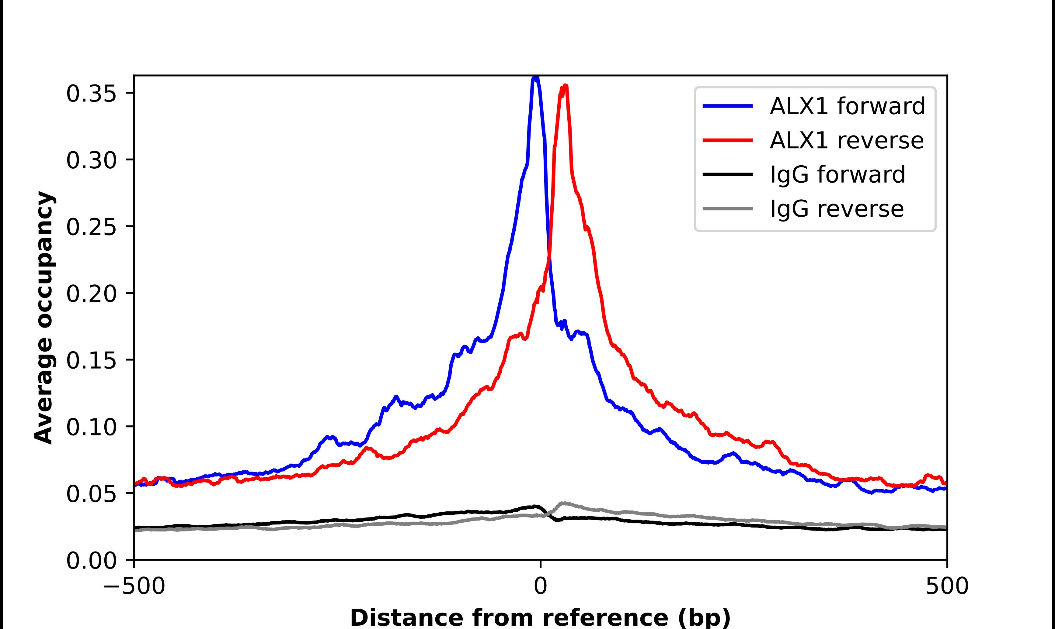 CART1 Antibody - BSA Free Chromatin Immunoprecipitation ChIP: CART1 Antibody - BSA Free