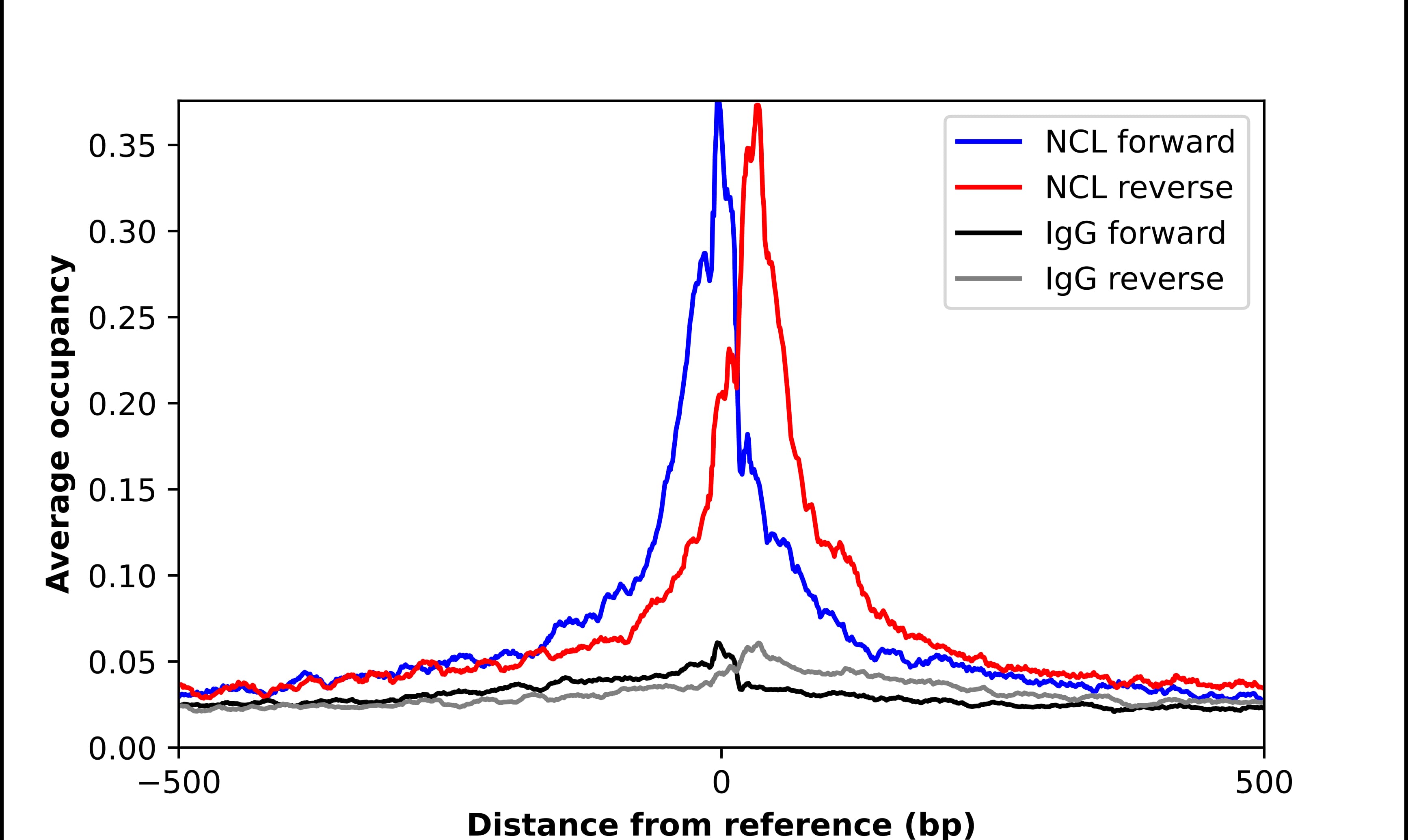 Nucleolin Antibody - BSA Free Chromatin Immunoprecipitation-exo-Seq: Nucleolin Antibody - BSA Free [NBP1-88271]