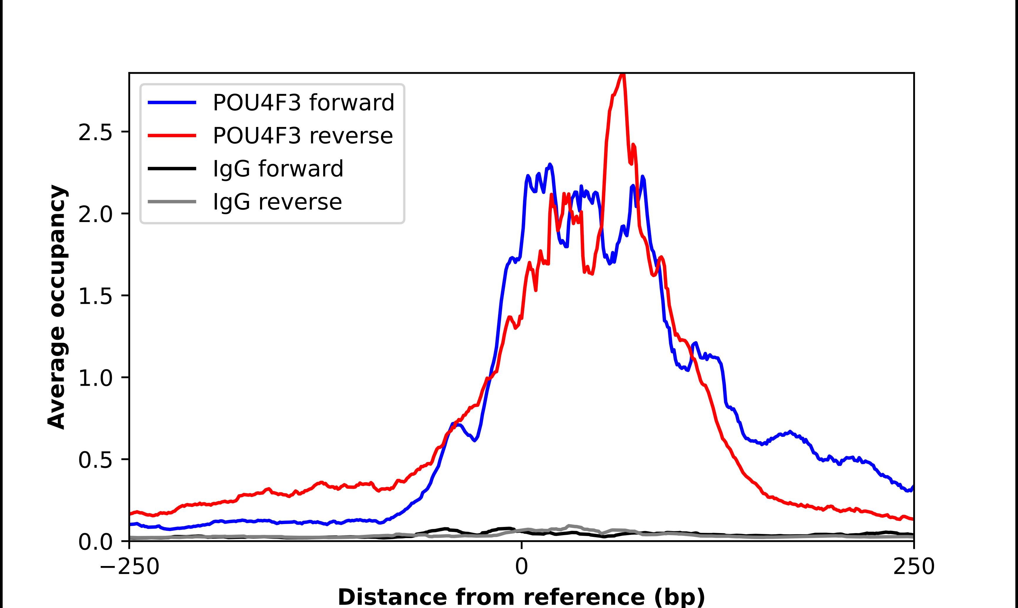 POU4F3 Antibody - BSA Free Chromatin Immunoprecipitation-exo-Seq: POU4F3 Antibody - BSA Free [NBP1-88349]
