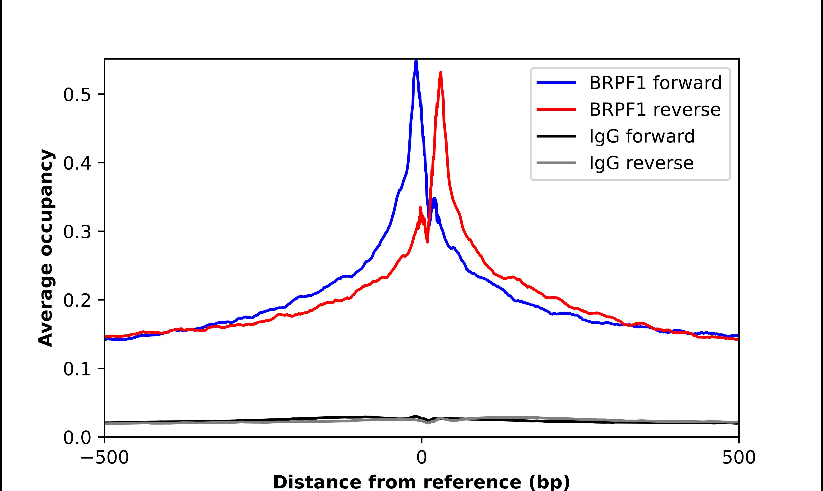 BRPF1 Antibody - BSA Free Chromatin Immunoprecipitation-exo-Seq: BRPF1 Antibody - BSA Free [NBP1-88369]