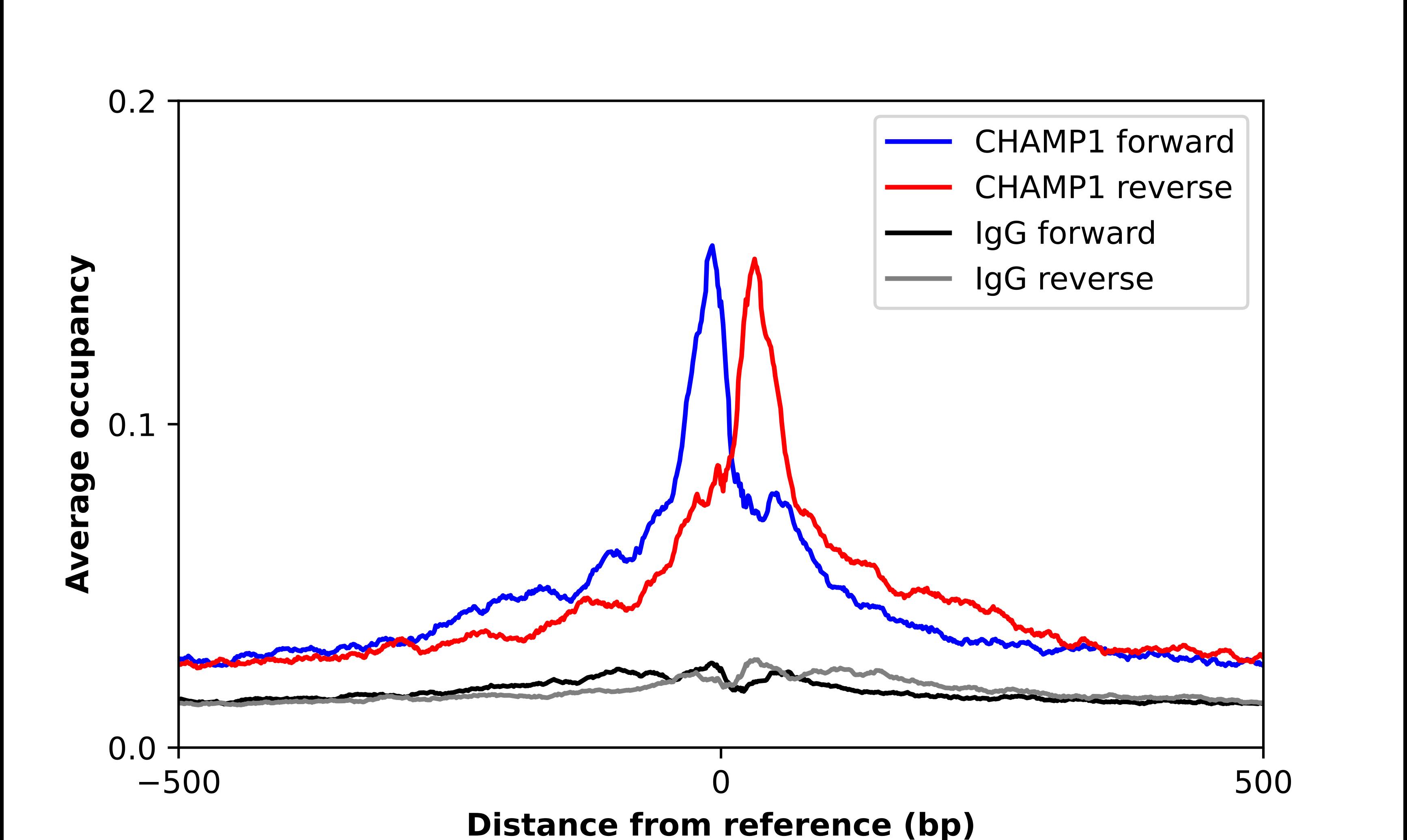 ZNF828 Antibody - BSA Free Chromatin Immunoprecipitation ChIP: ZNF828 Antibody - BSA Free