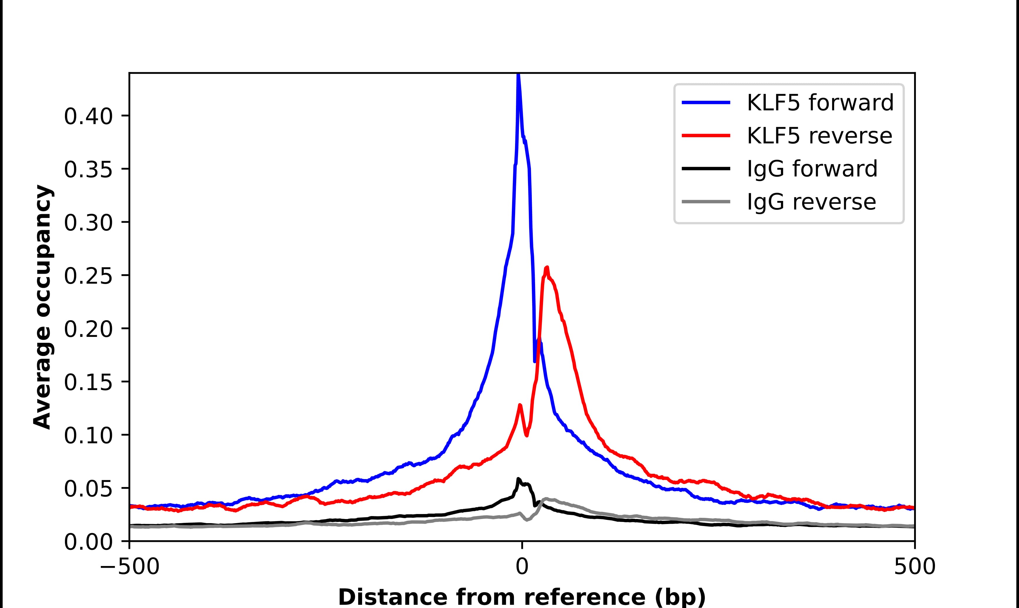 KLF5 Antibody - BSA Free Chromatin Immunoprecipitation-exo-Seq: KLF5 Antibody - BSA Free [NBP1-88508]