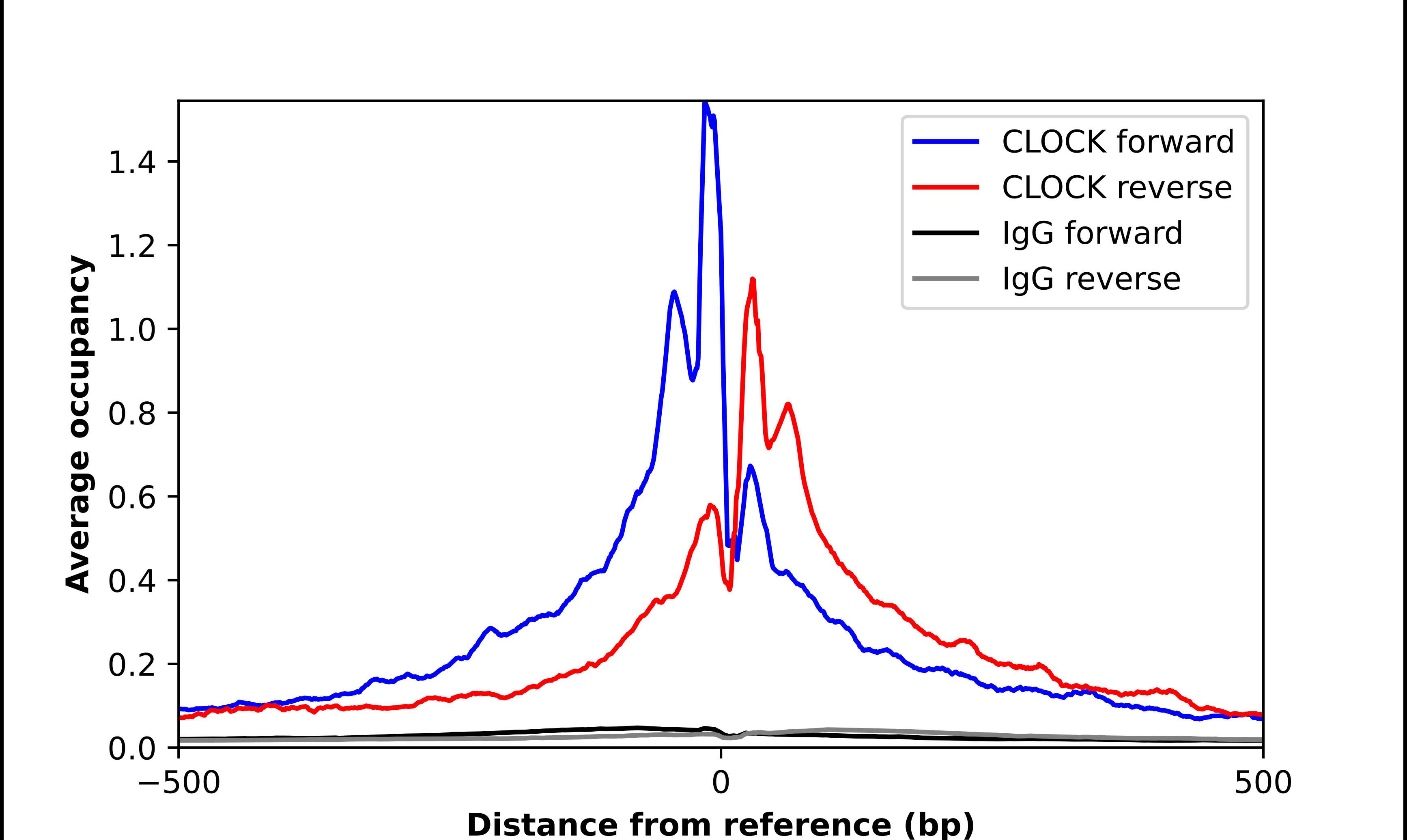 CLOCK Antibody - BSA Free Chromatin Immunoprecipitation-exo-Seq: CLOCK Antibody - BSA Free [NBP1-88614]