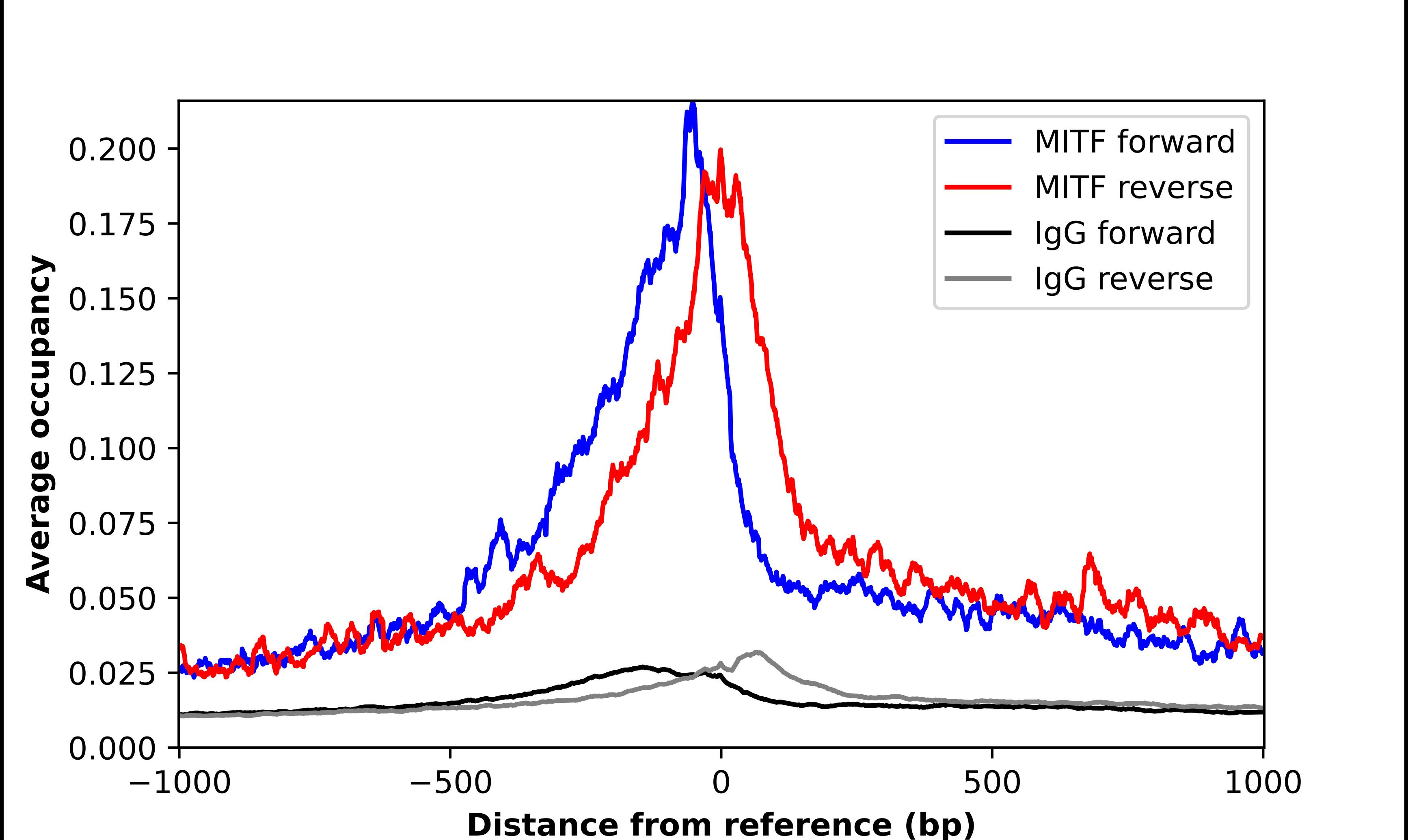 MITF Antibody - BSA Free Chromatin Immunoprecipitation-exo-Seq: MITF Antibody - BSA Free [NBP1-88618]