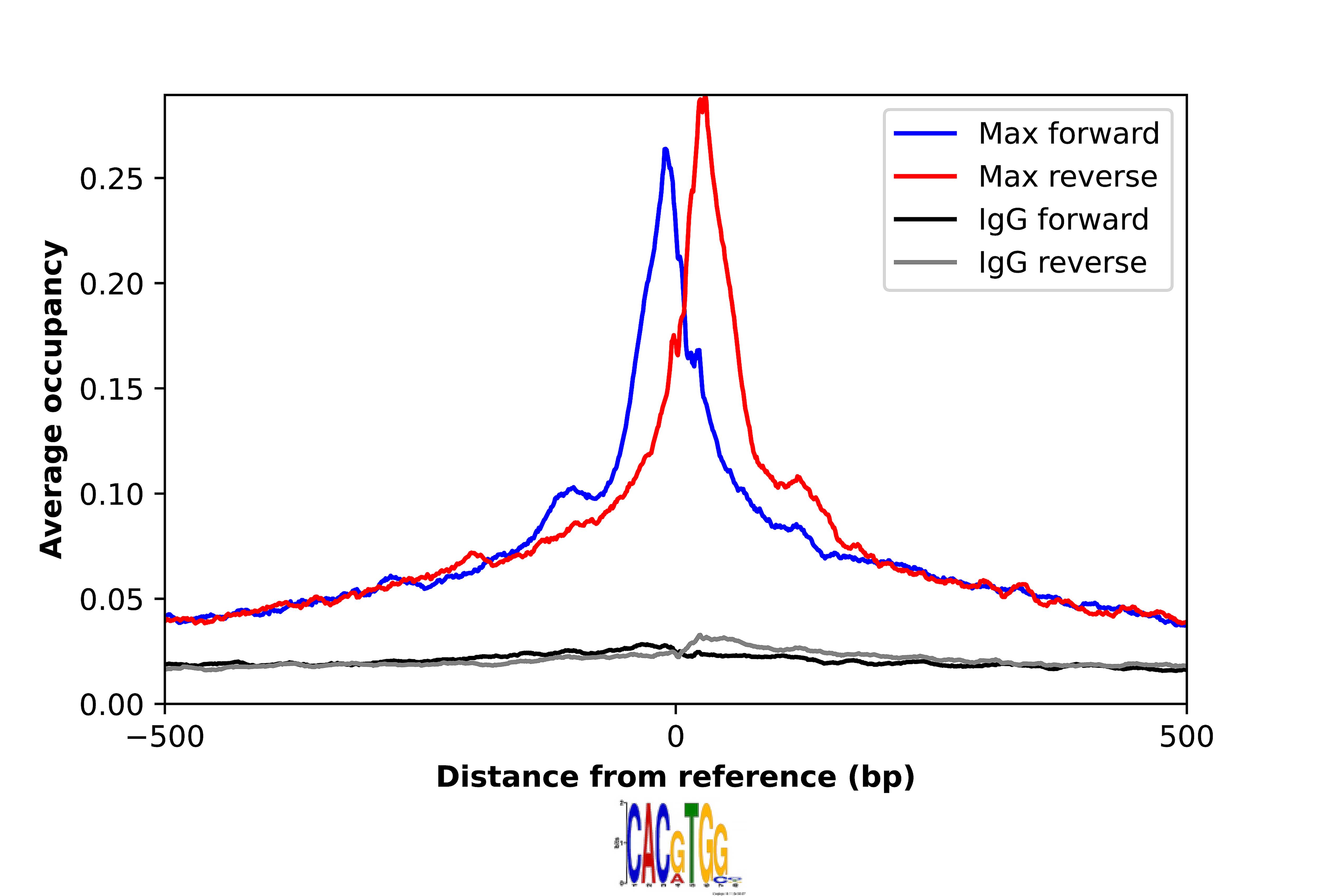 Max Antibody - BSA Free Chromatin Immunoprecipitation-exo-Seq: Max Antibody - BSA Free [NBP1-88624]