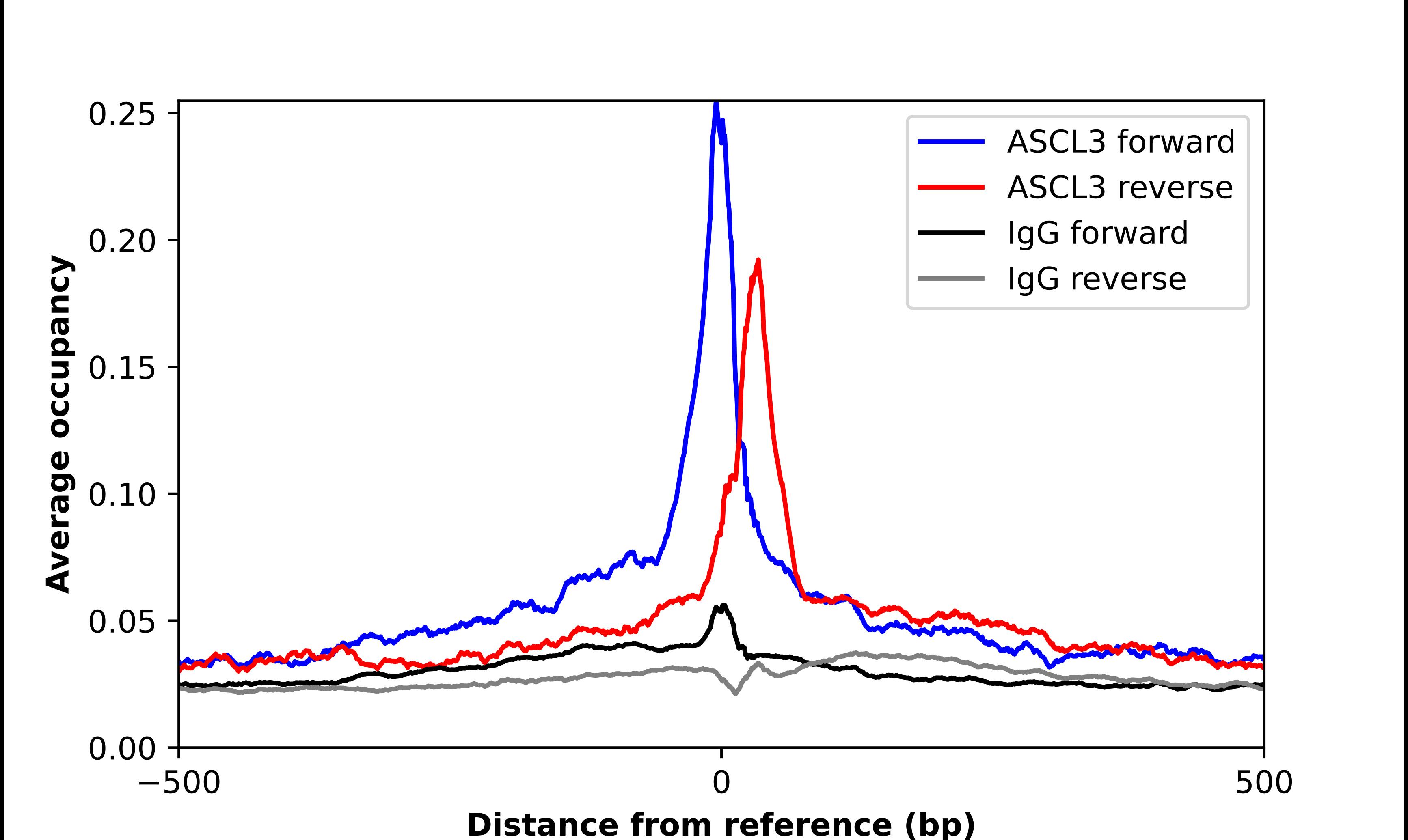 ASCL3 Antibody - BSA Free Chromatin Immunoprecipitation ChIP: ASCL3 Antibody - BSA Free