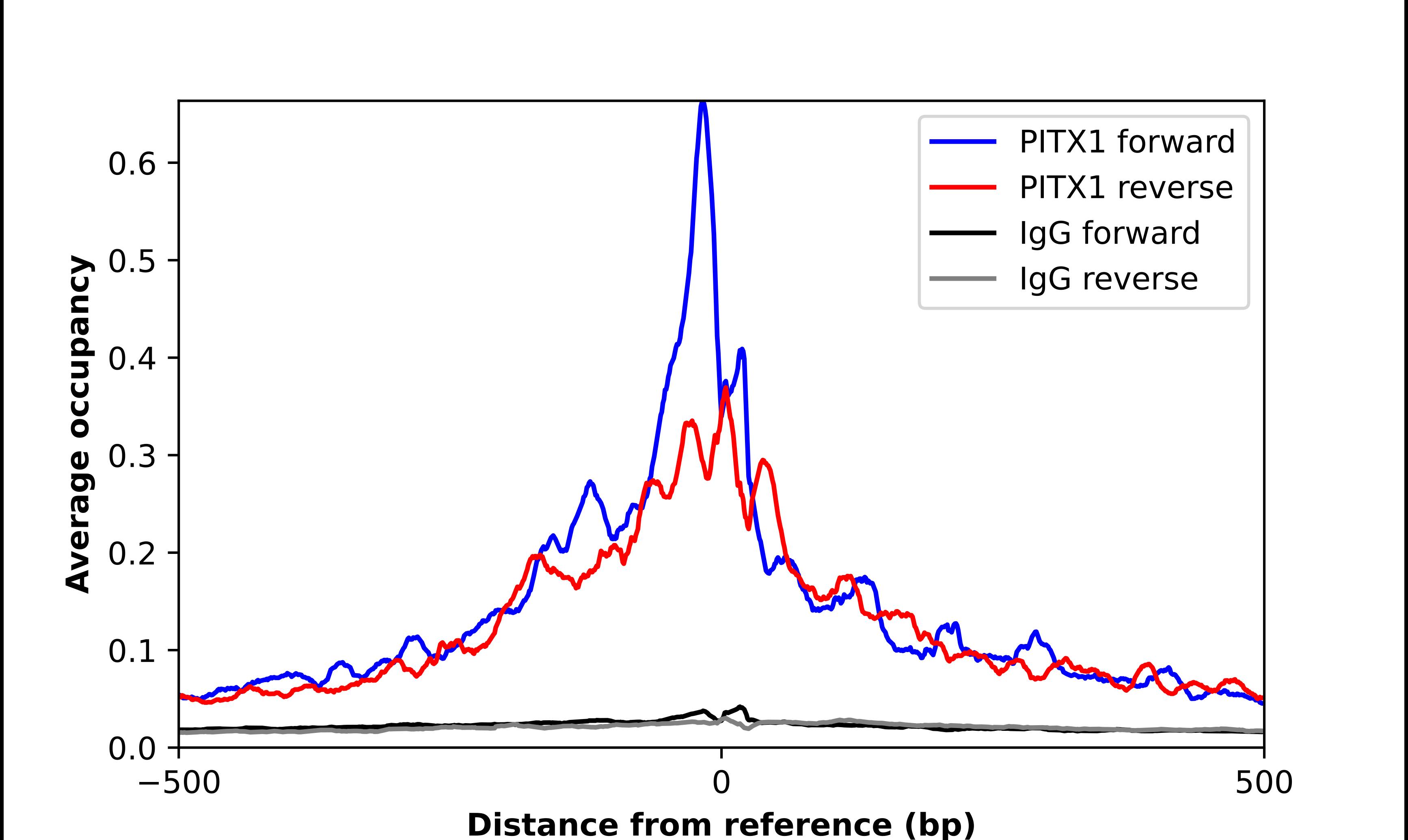 PITX1 Antibody - BSA Free Chromatin Immunoprecipitation-exo-Seq: PITX1 Antibody - BSA Free [NBP1-88644]