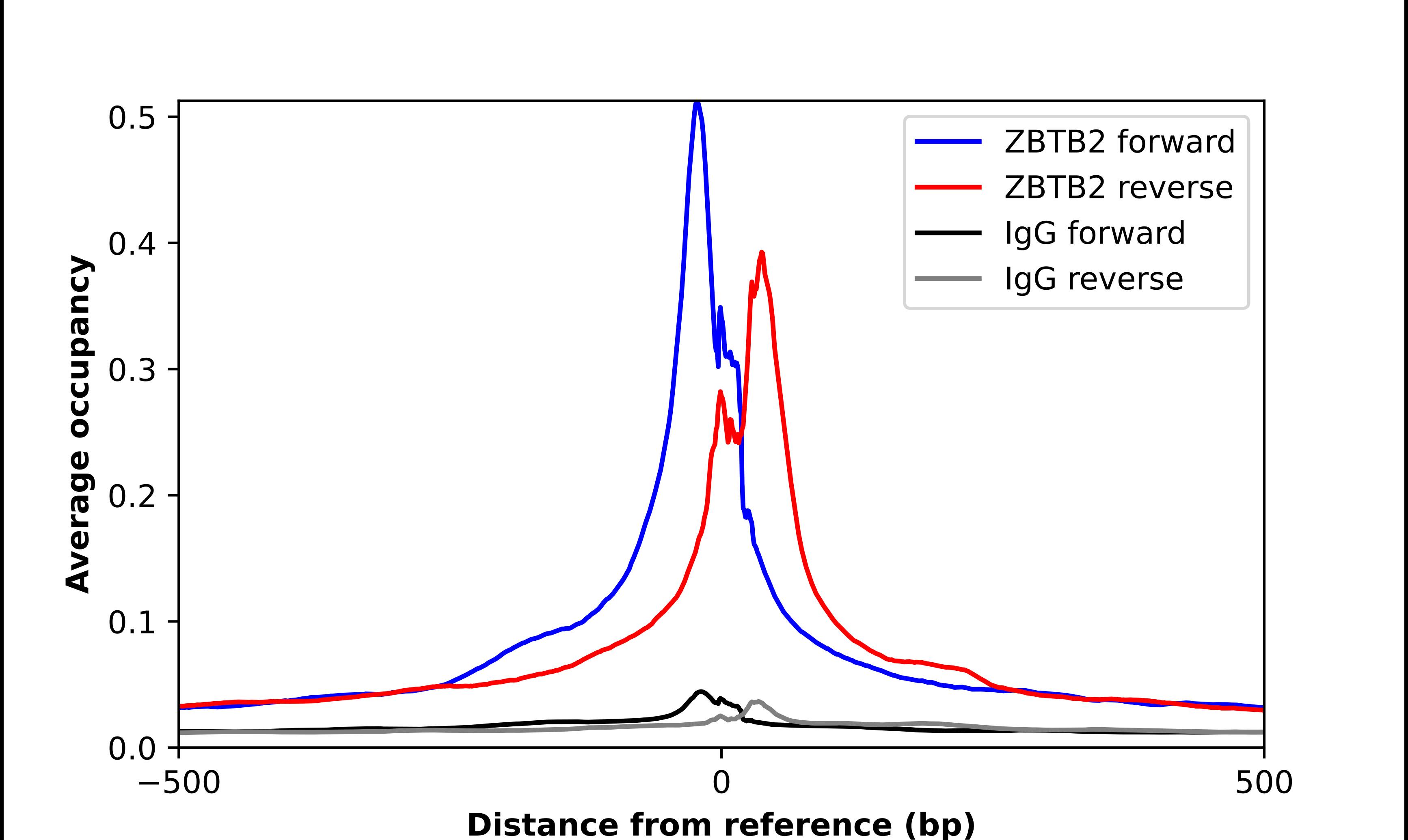 ZBTB2 Antibody - BSA Free Chromatin Immunoprecipitation-exo-Seq: ZBTB2 Antibody - BSA Free [NBP1-88786]